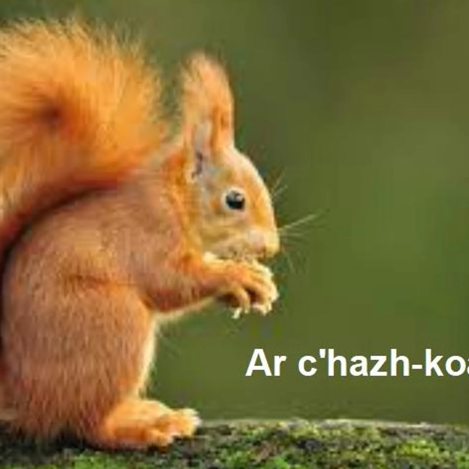 Cours n°79