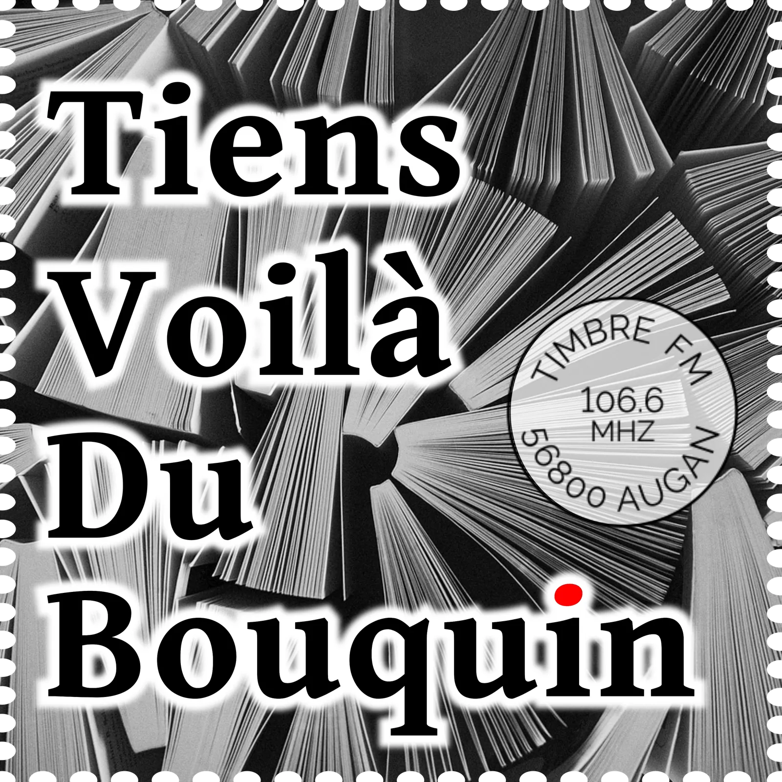Tiens voilà du bouquin-épisode-148 Médiathèque de Guer
