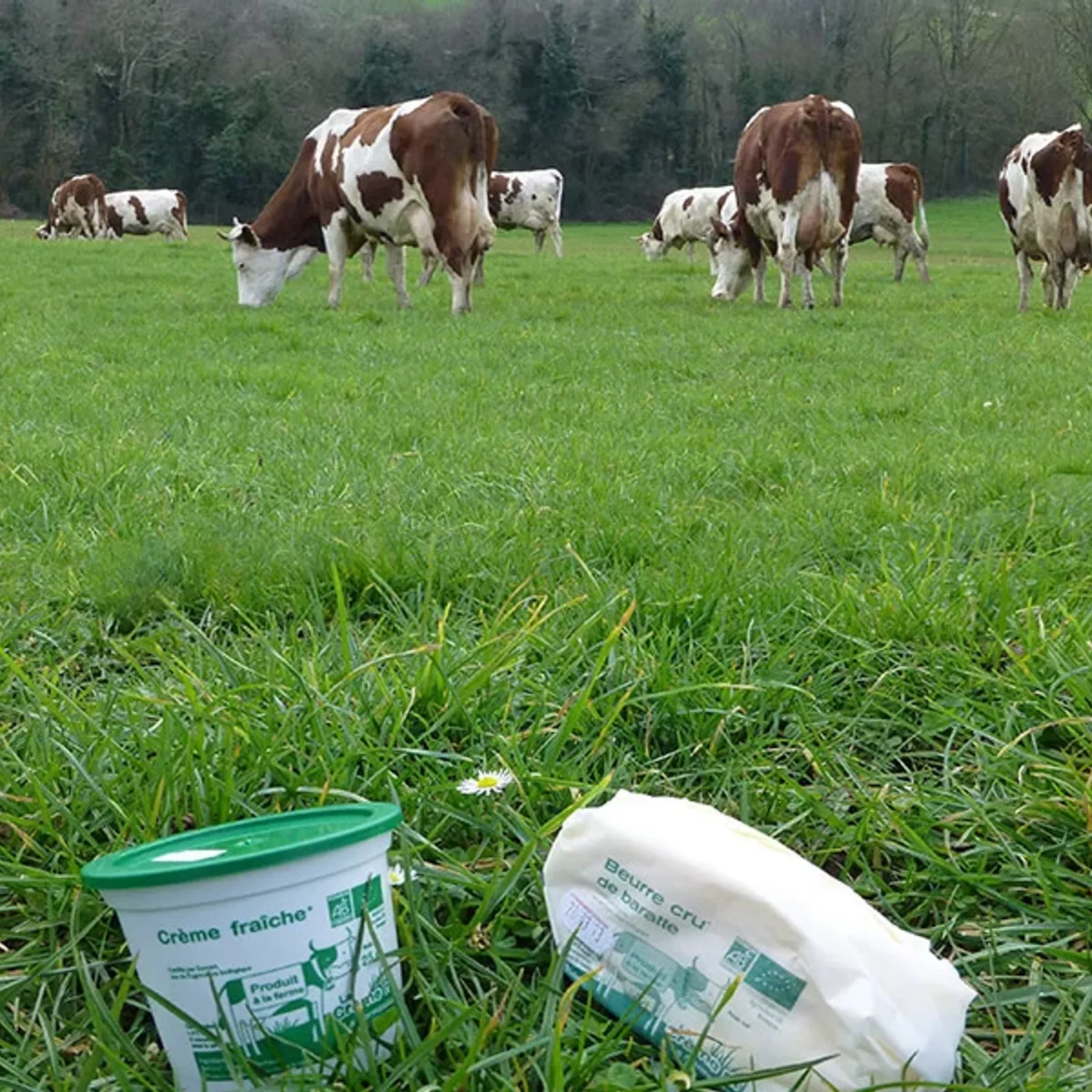La vente à la ferme avec Jean-Luc de La Crème Rit (Guilliers)