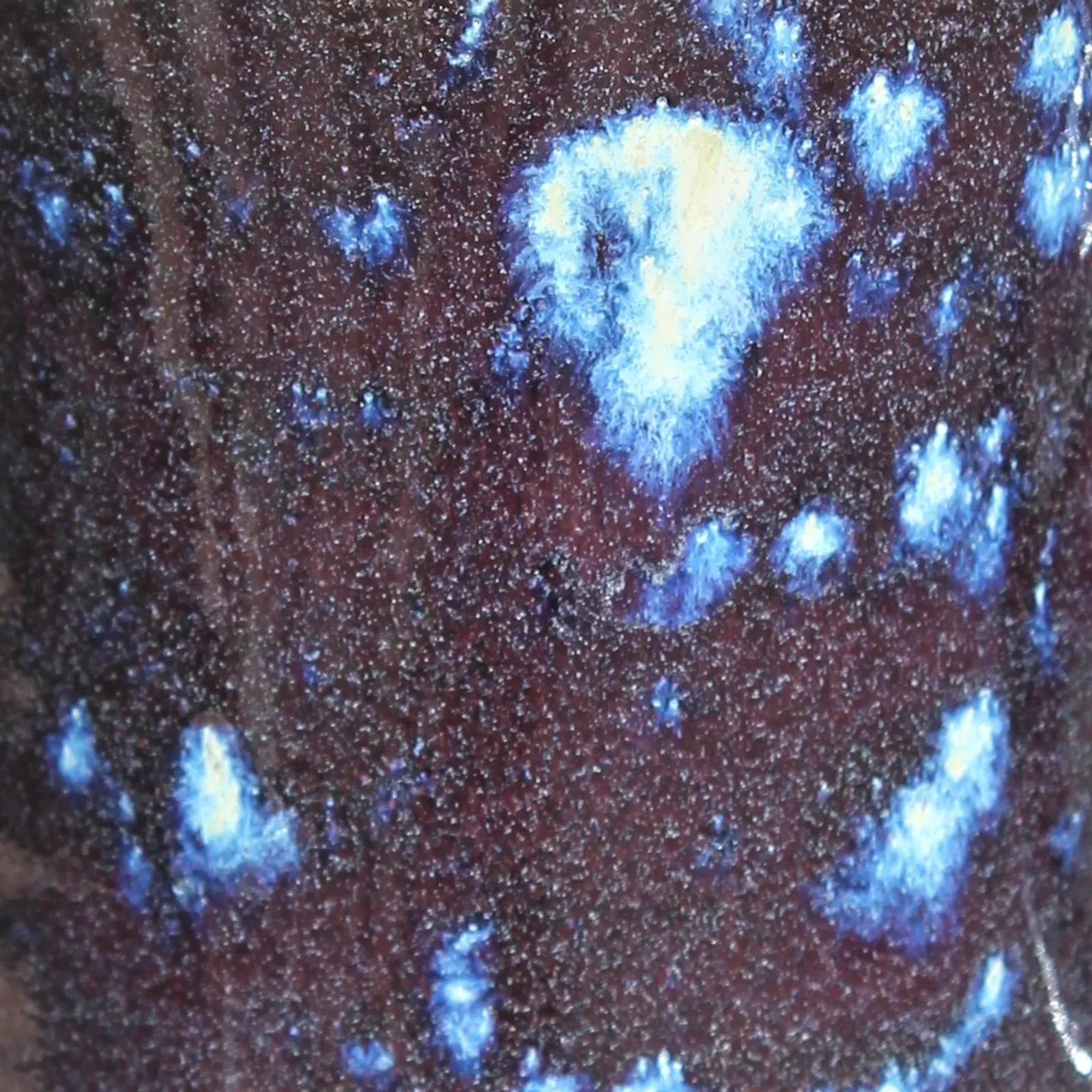 Bed skiantel ha kevrinus al livioù