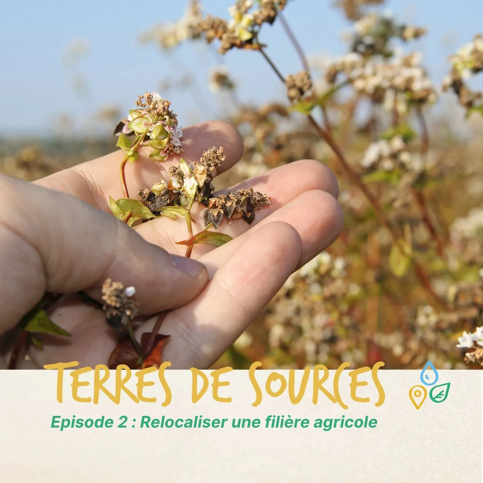 Episode 2 : Relocaliser une filière agricole