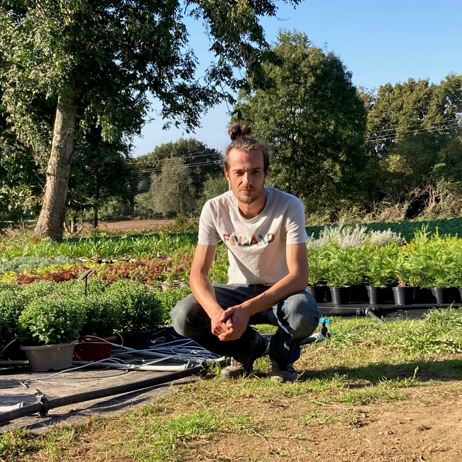 Levée d'pousses à Guern !