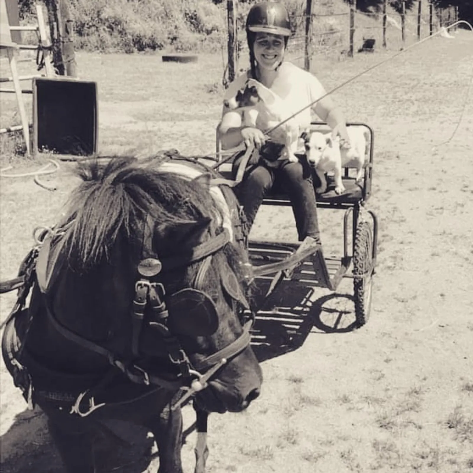 La rêveuse équestre