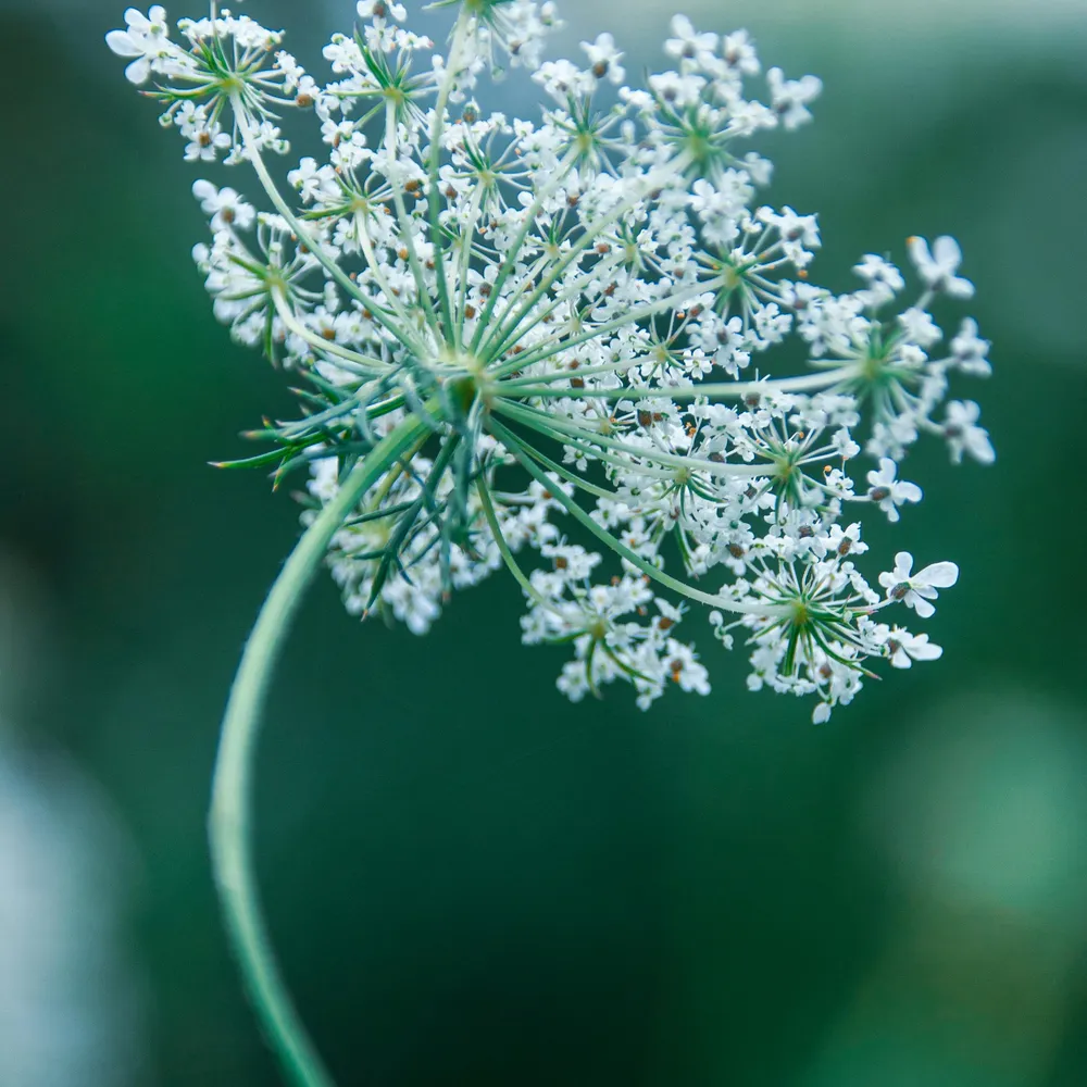 C'hwezh an deiz 27 Mars 2026