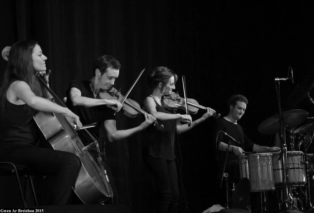 Trans Vinyl Express #82