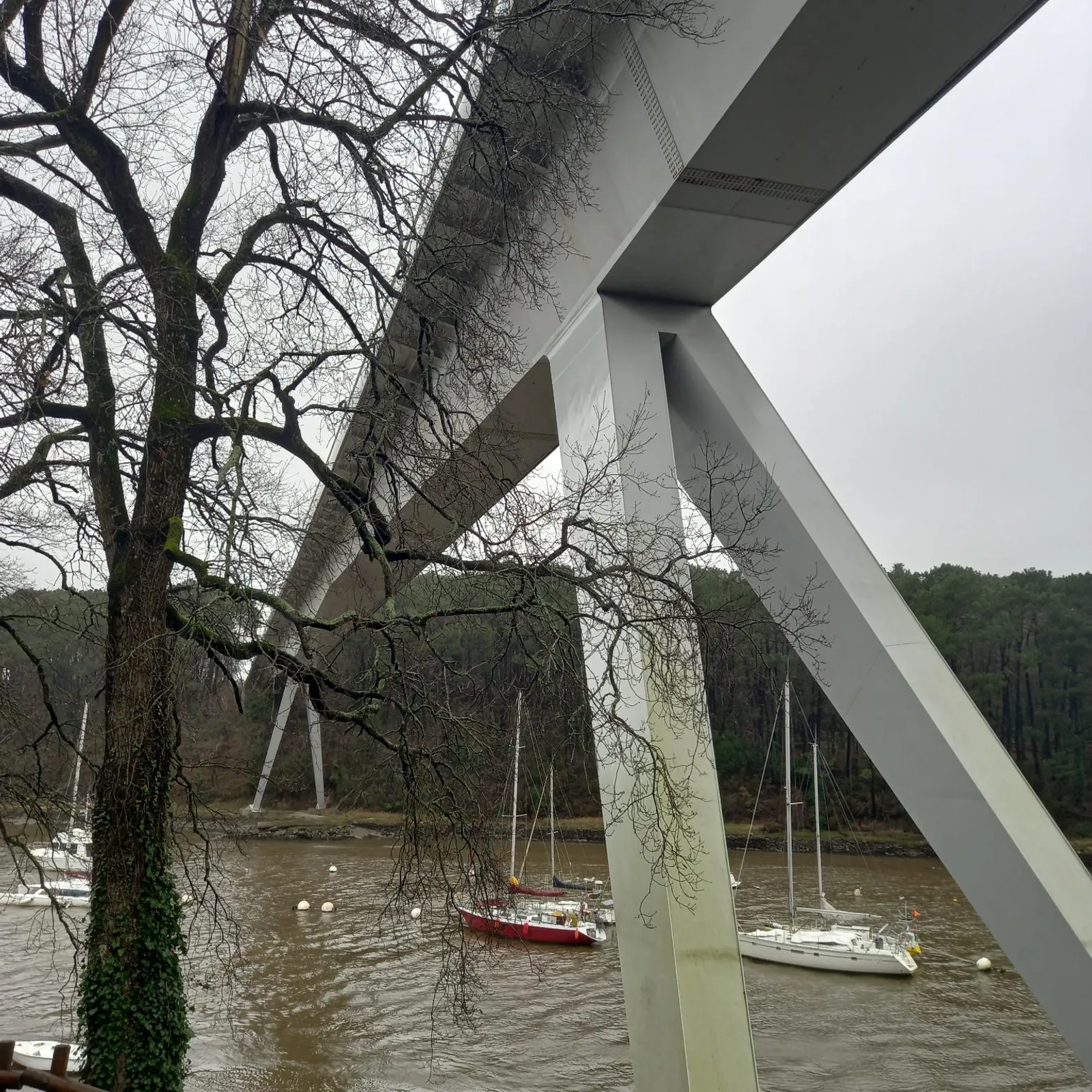 Reportage au Bono : Yachts du Patrimoine Maritime