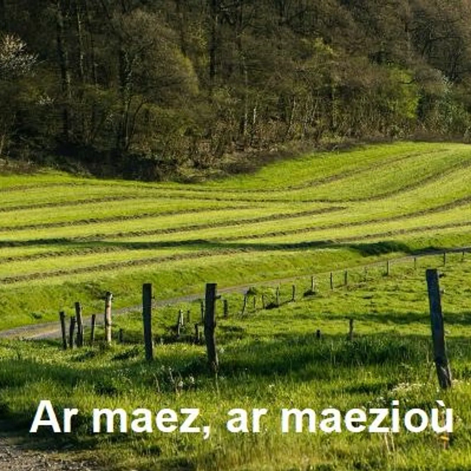 Cours n°90