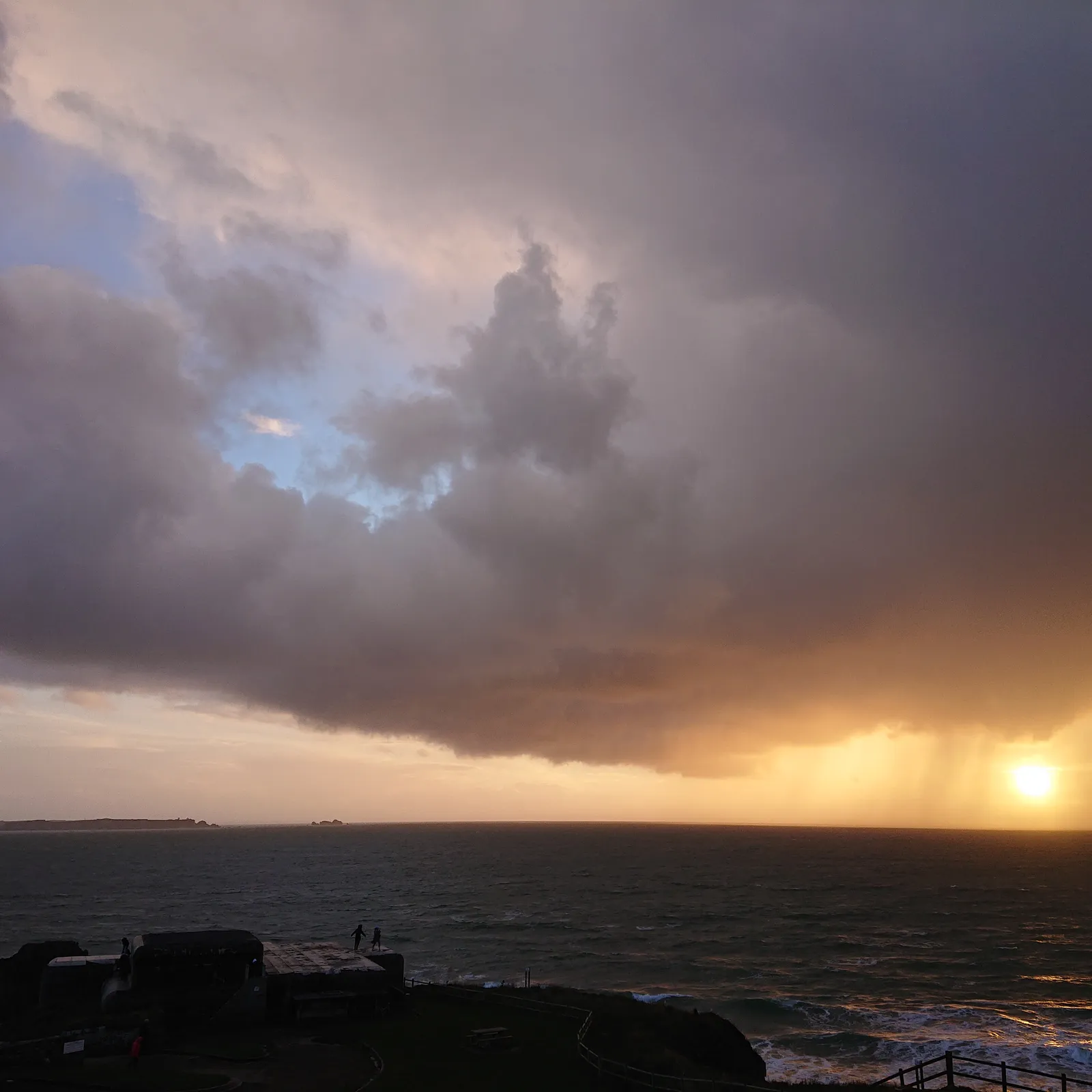 Green Washing #9, La Primaire Populaire