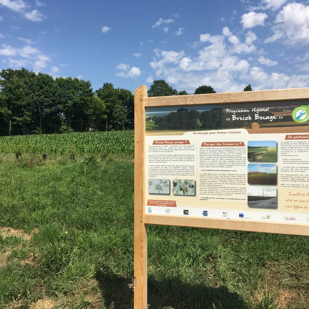 Opération sauvetage du bocage breton