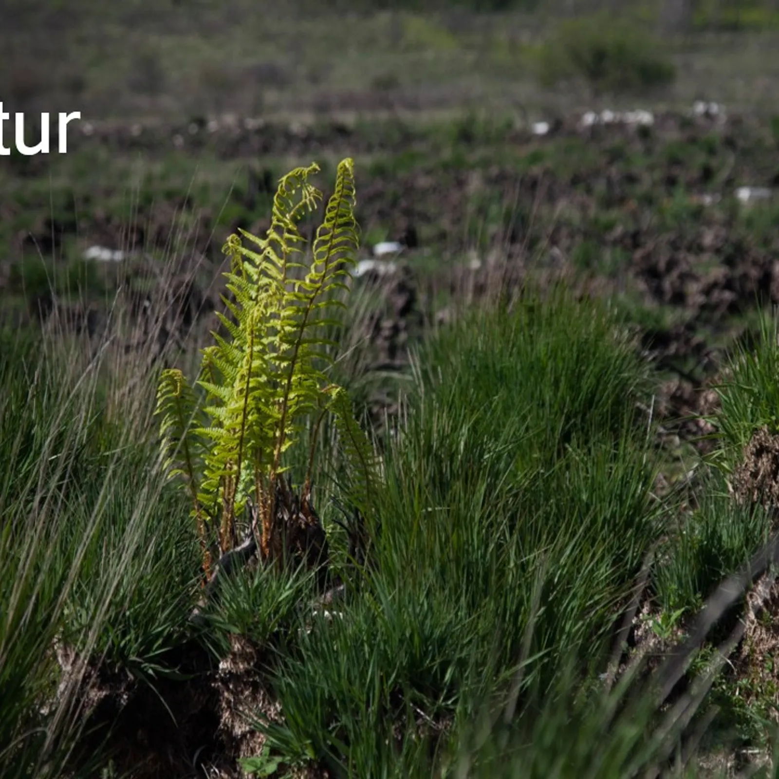 Lagad an Tan - Natur