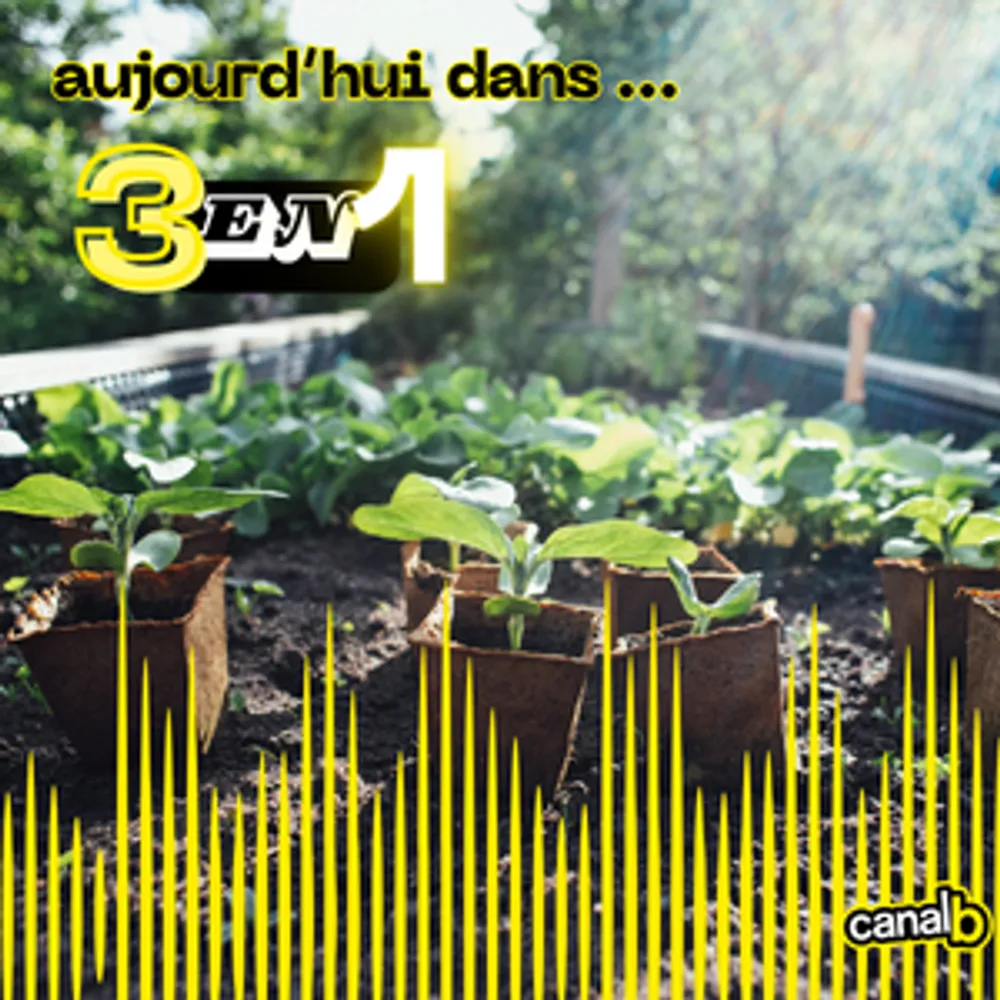 Comment lutter contre la solitude chez les personnes agées ? (avec La Maison en Ville) / L’agriculture urbaine peut elle nourrir les villes ?