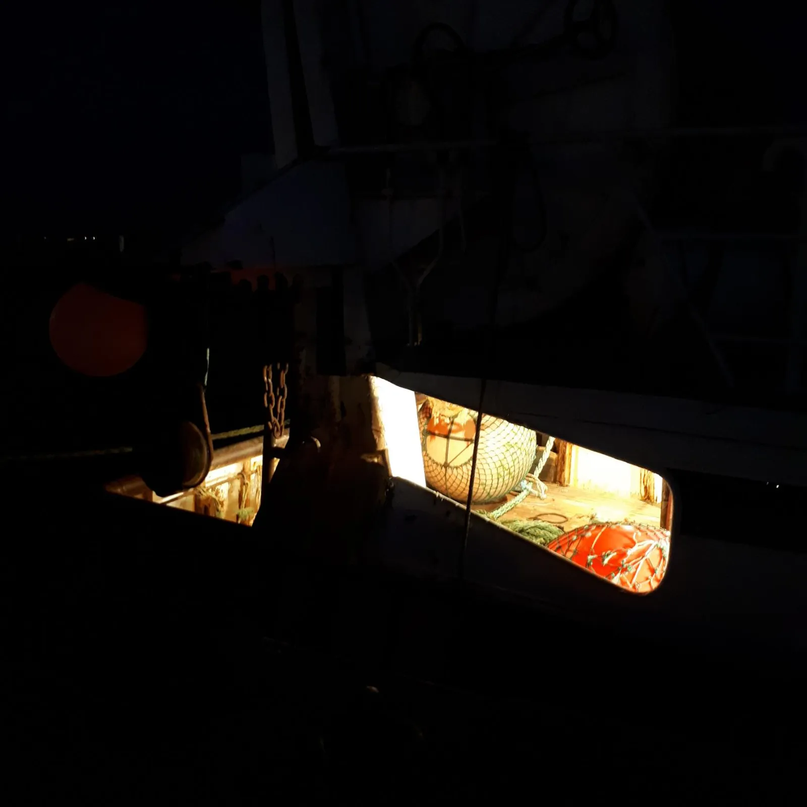 La criée de Lorient - visite nocturne 