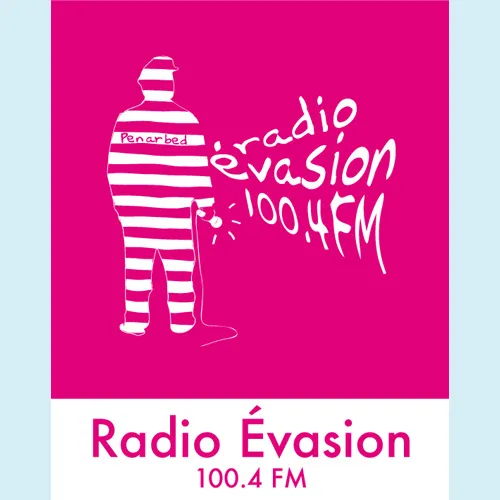 Les polychètes, animaux fantastiques bien réels !