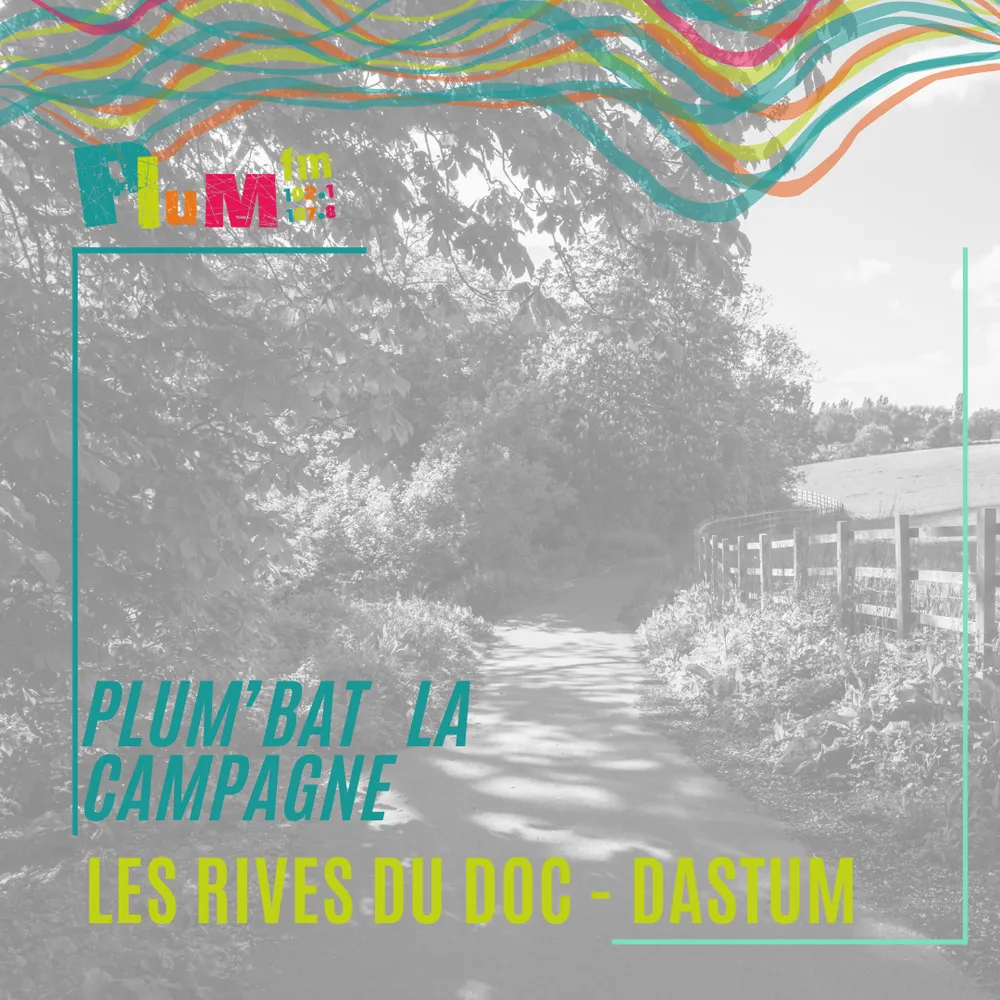 Festival du documentaire Les Rives du Doc : Dastum, la maison des sources