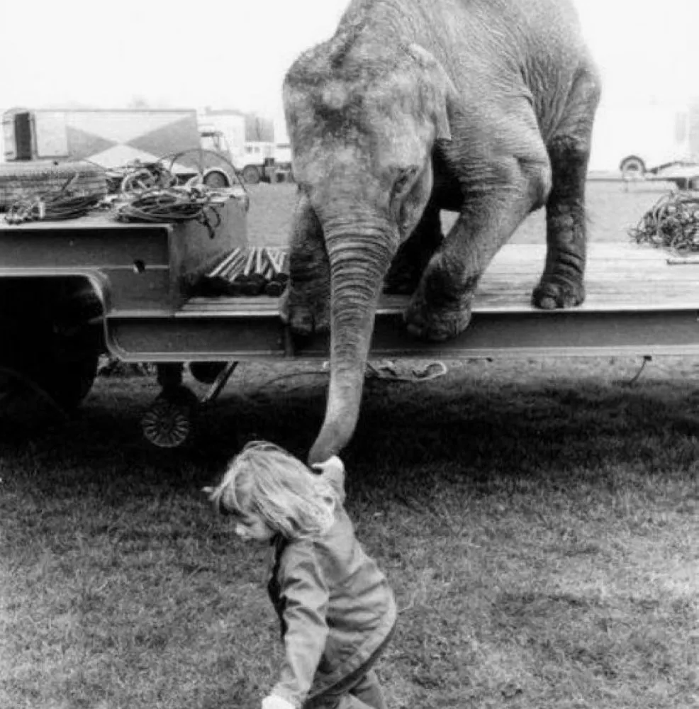 L'Oreille de Moscou ... Viendez, c'est La Rentrée !