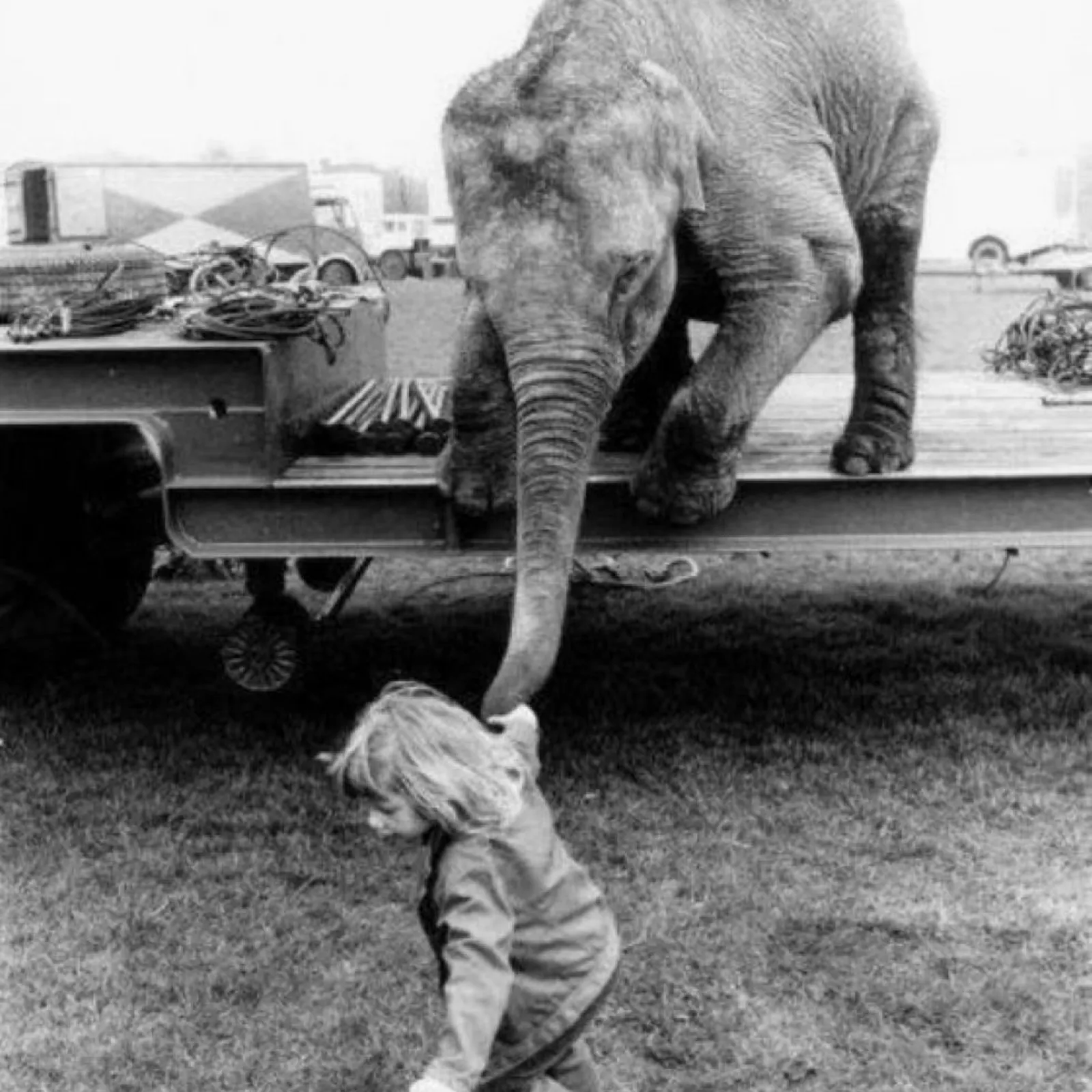 L'Oreille de Moscou ... Viendez, c'est La Rentrée !