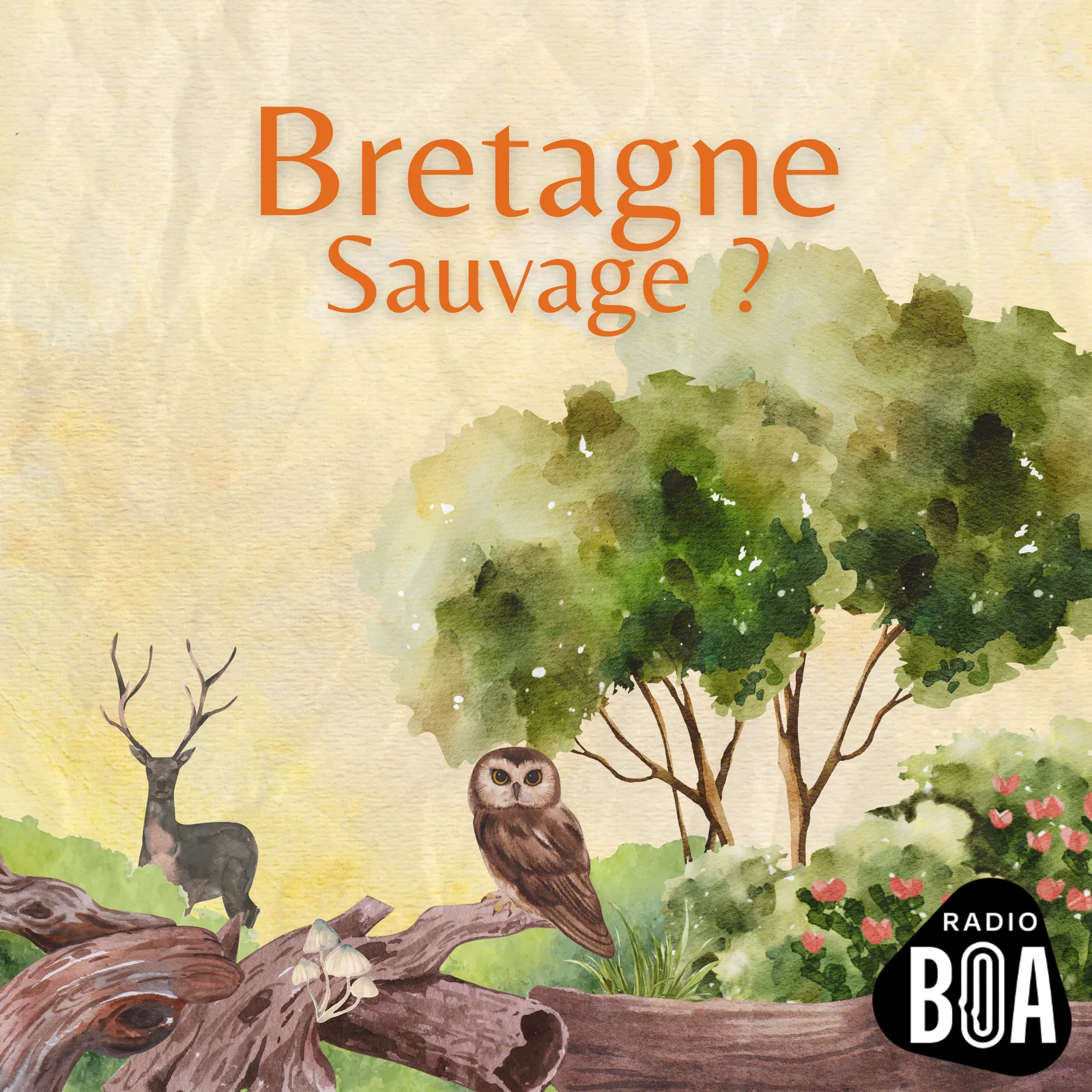 02 - Bretagne sauvage ?