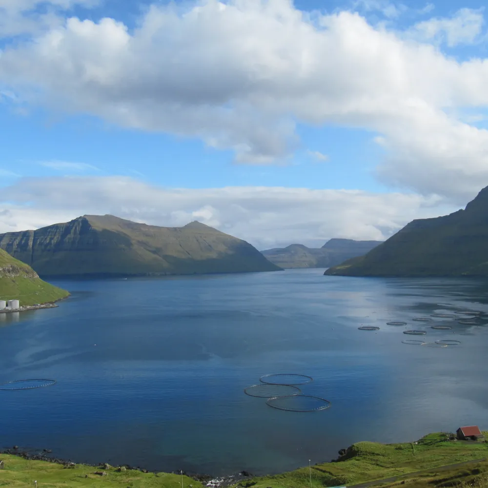 Benjamin Bouard - Enizi Feroe 3