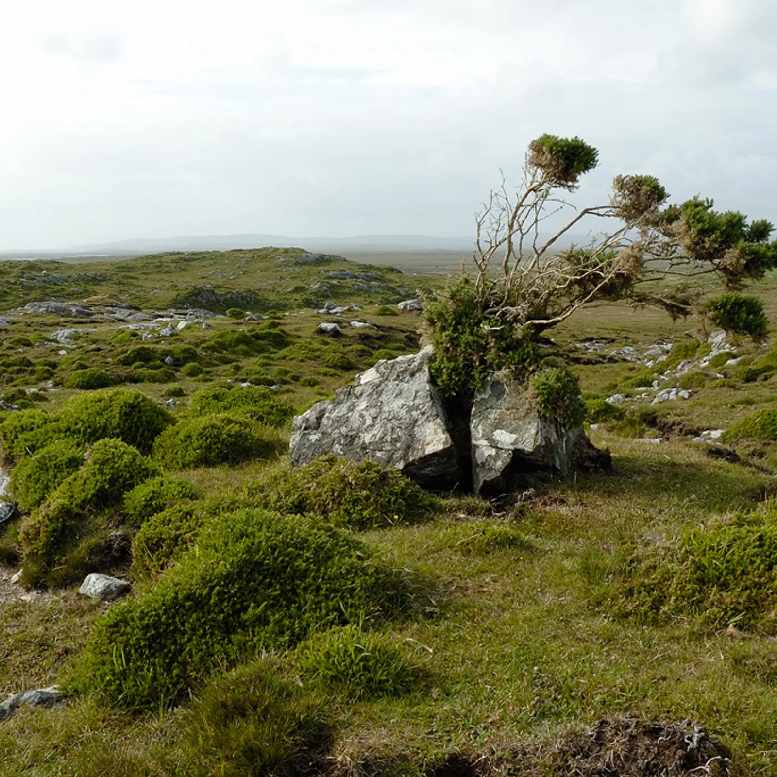Kit d'Ar Fil, Fil D'ar gêr, Brewen Favrau ha Veronique Bourjot