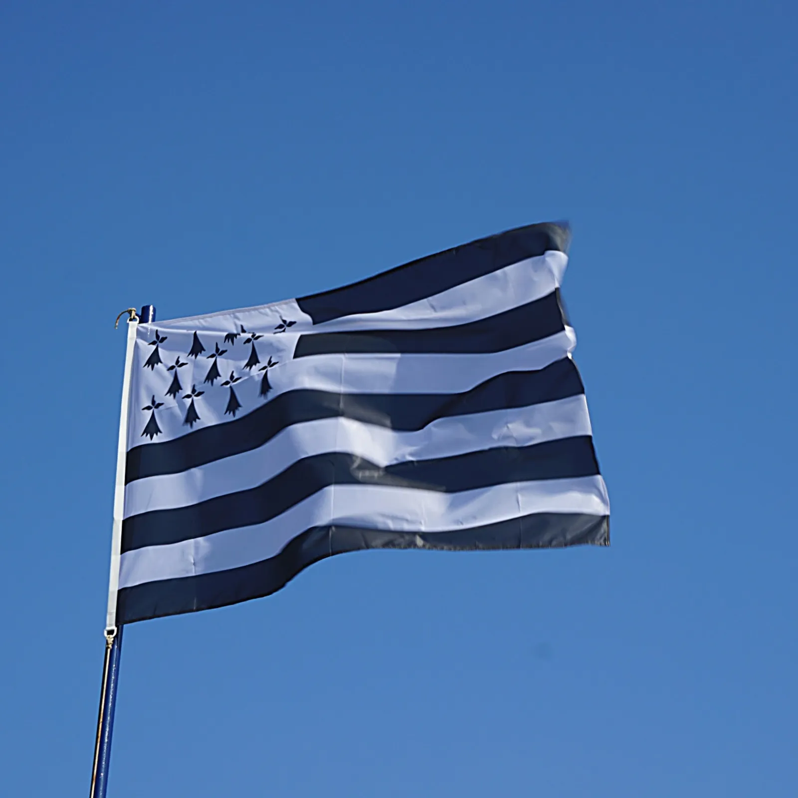 Ur brezegenn war ar gwenedeg er skritur peurunvan