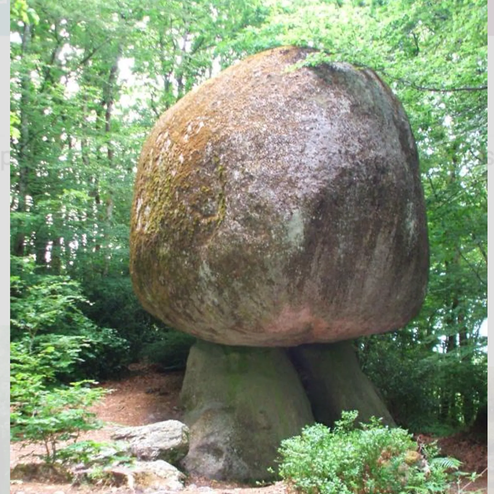 La forêt de Huelgoat