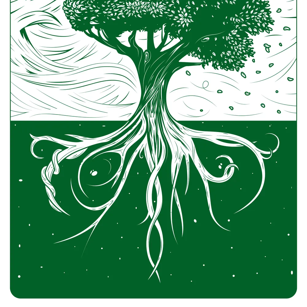 Le point de rosée / Saison Culturelle 2024