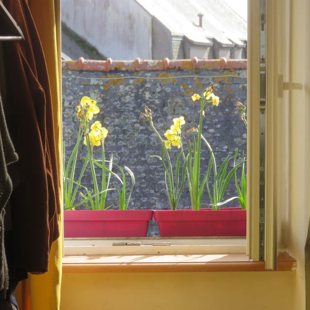 Les jardins de Michèle Beyer (2)