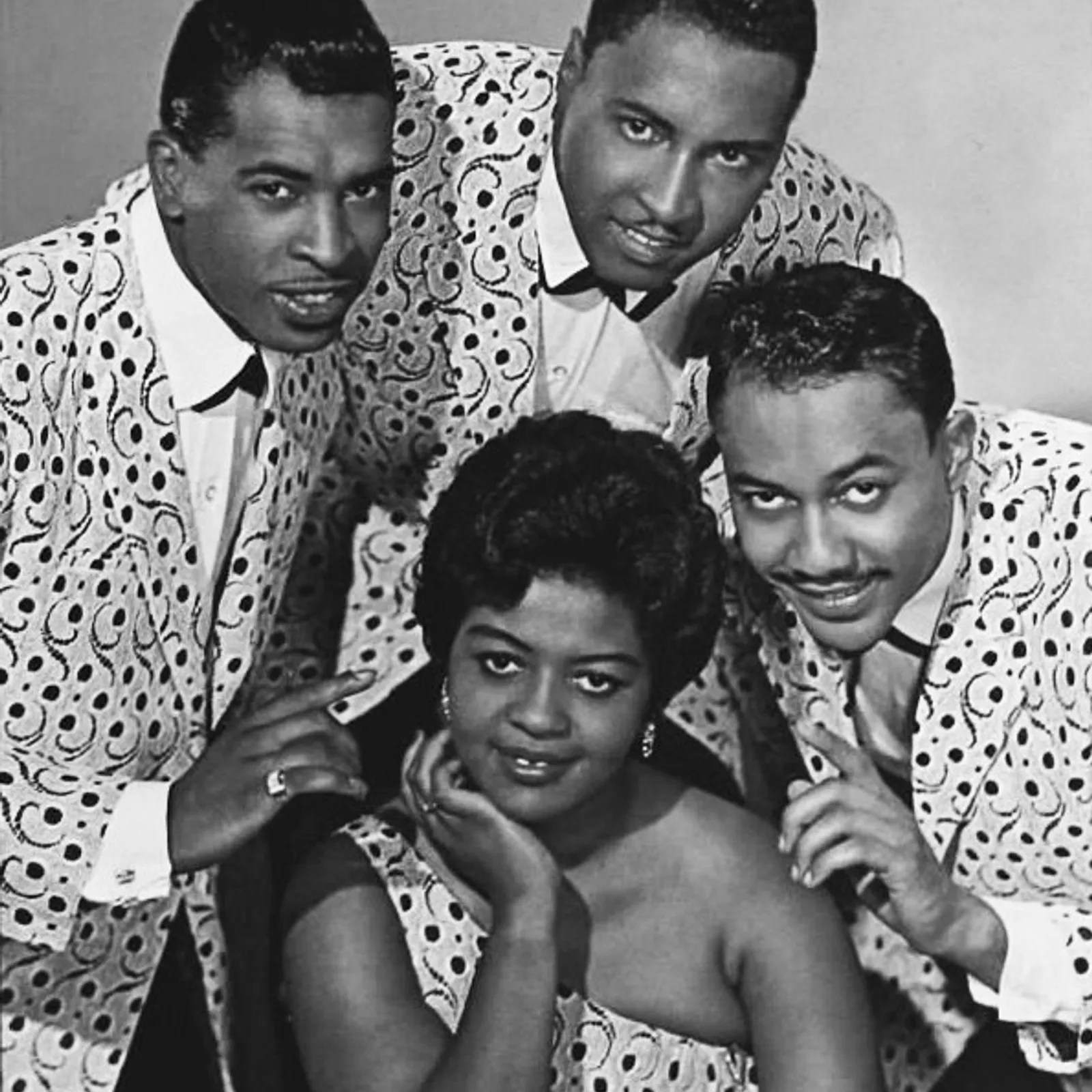 Trans Vinyl Express #97