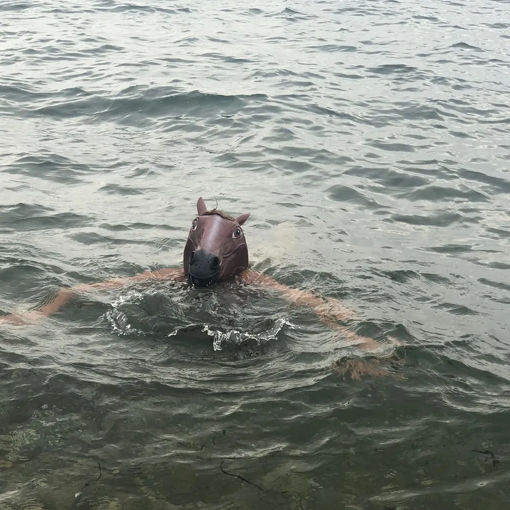 BO#99 : Rentrée 2024