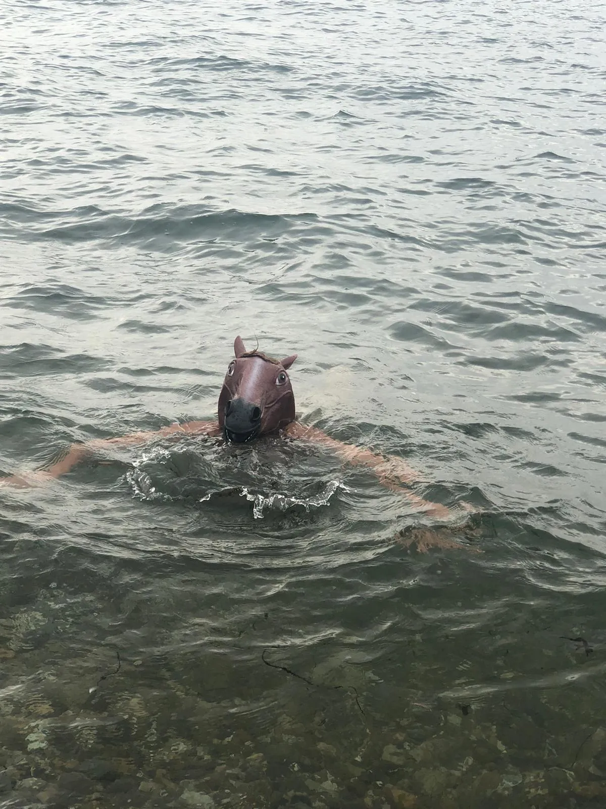 BO#99 : Rentrée 2024