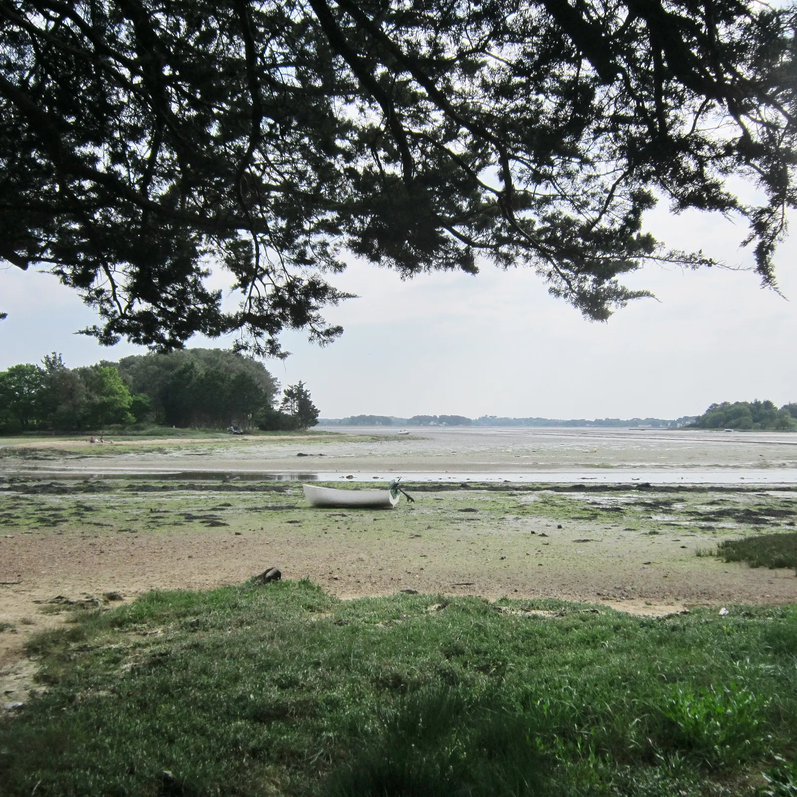 Annick Poulelaouen et Geneviève Le Buhé  1/2