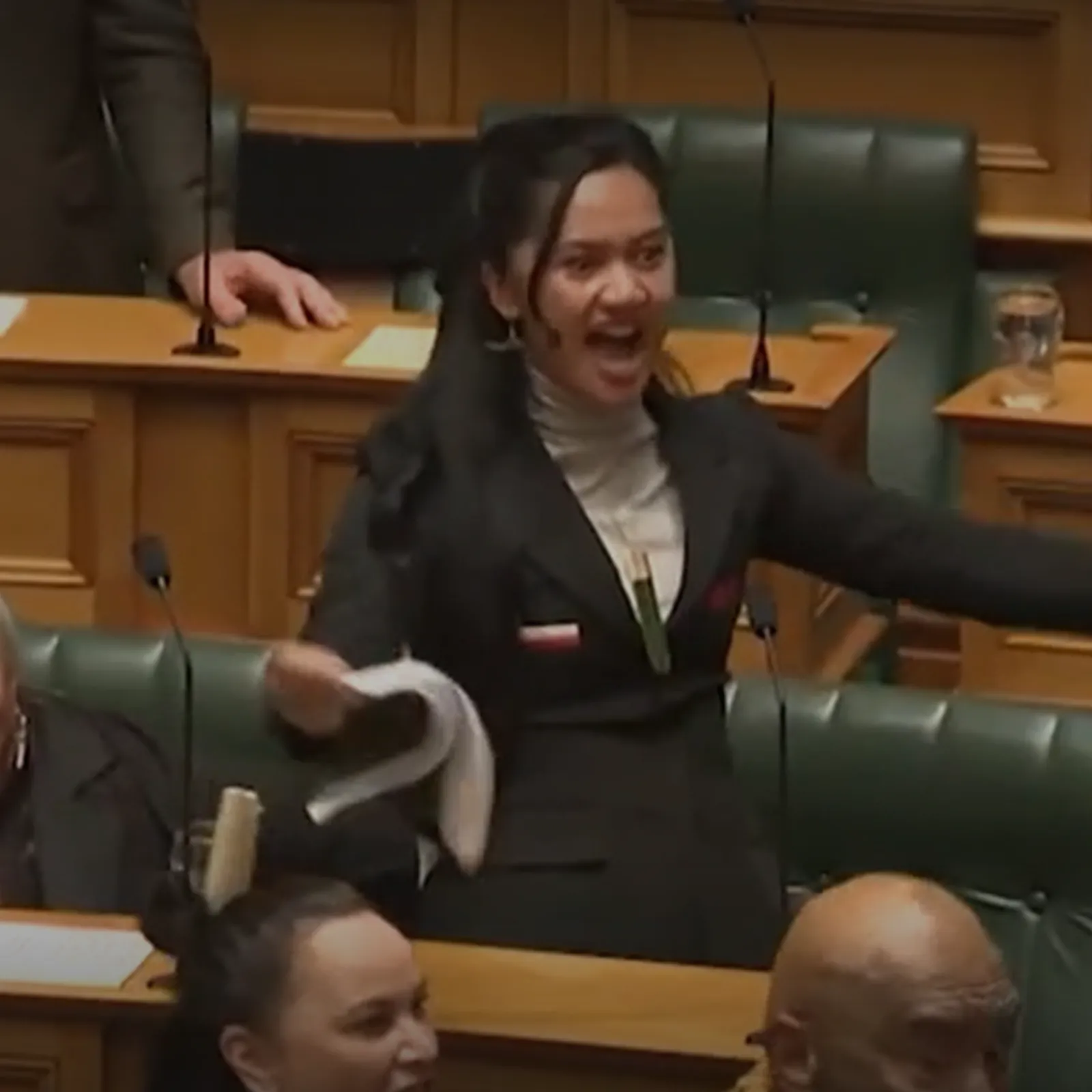 Maoried en fulor e Parlamant Zeland Nevez