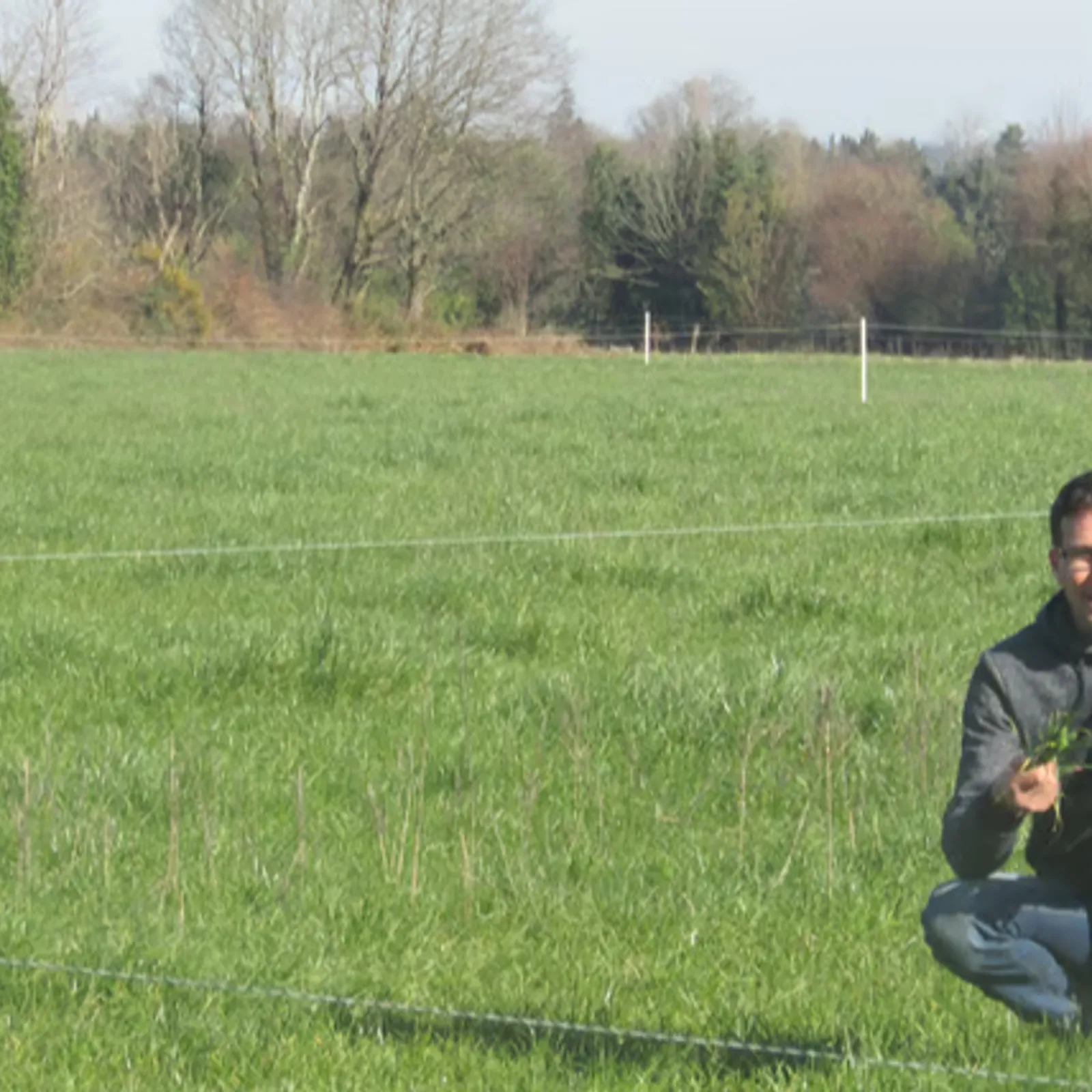 Stéphane Henry - Agriculteur en système herbager biologique