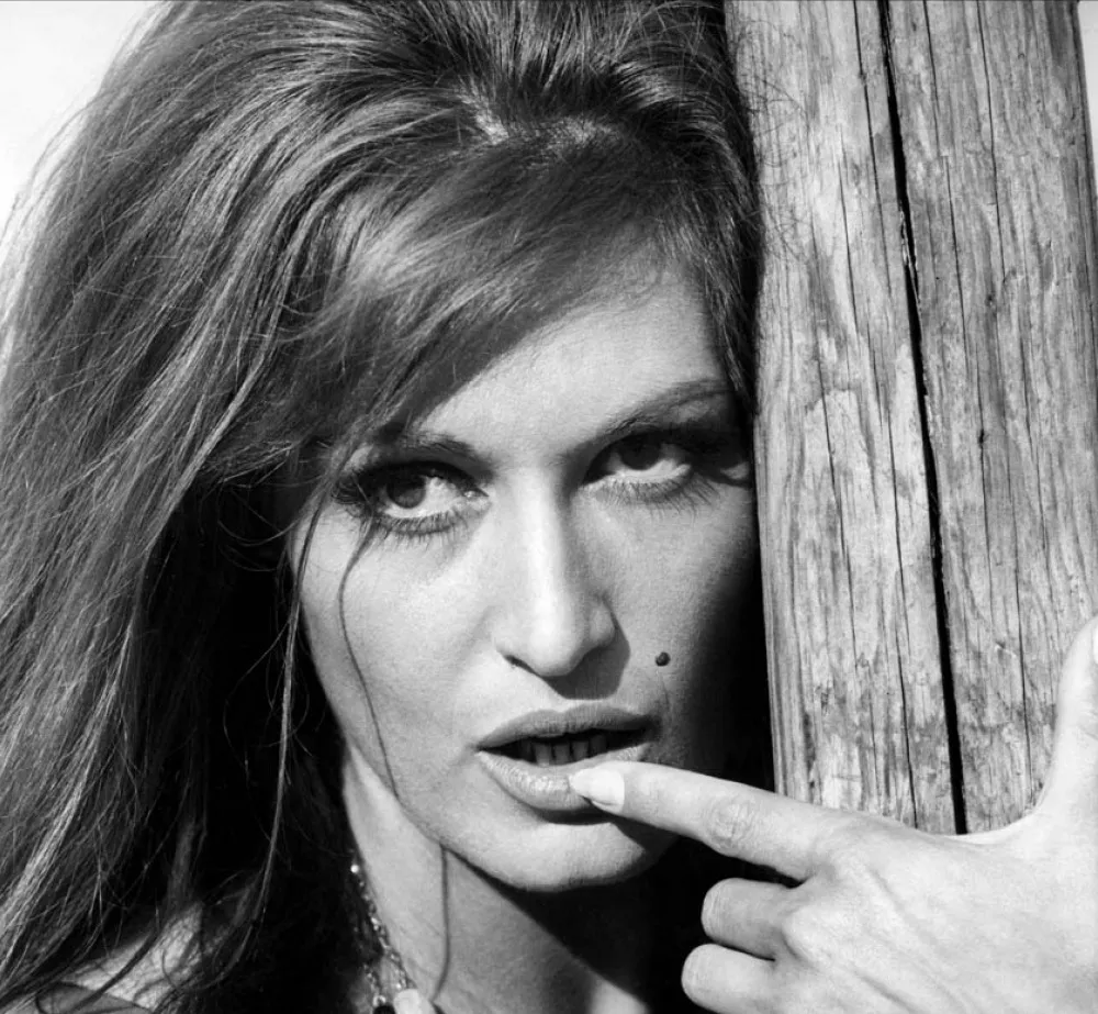 Trans Vinyl Express #60