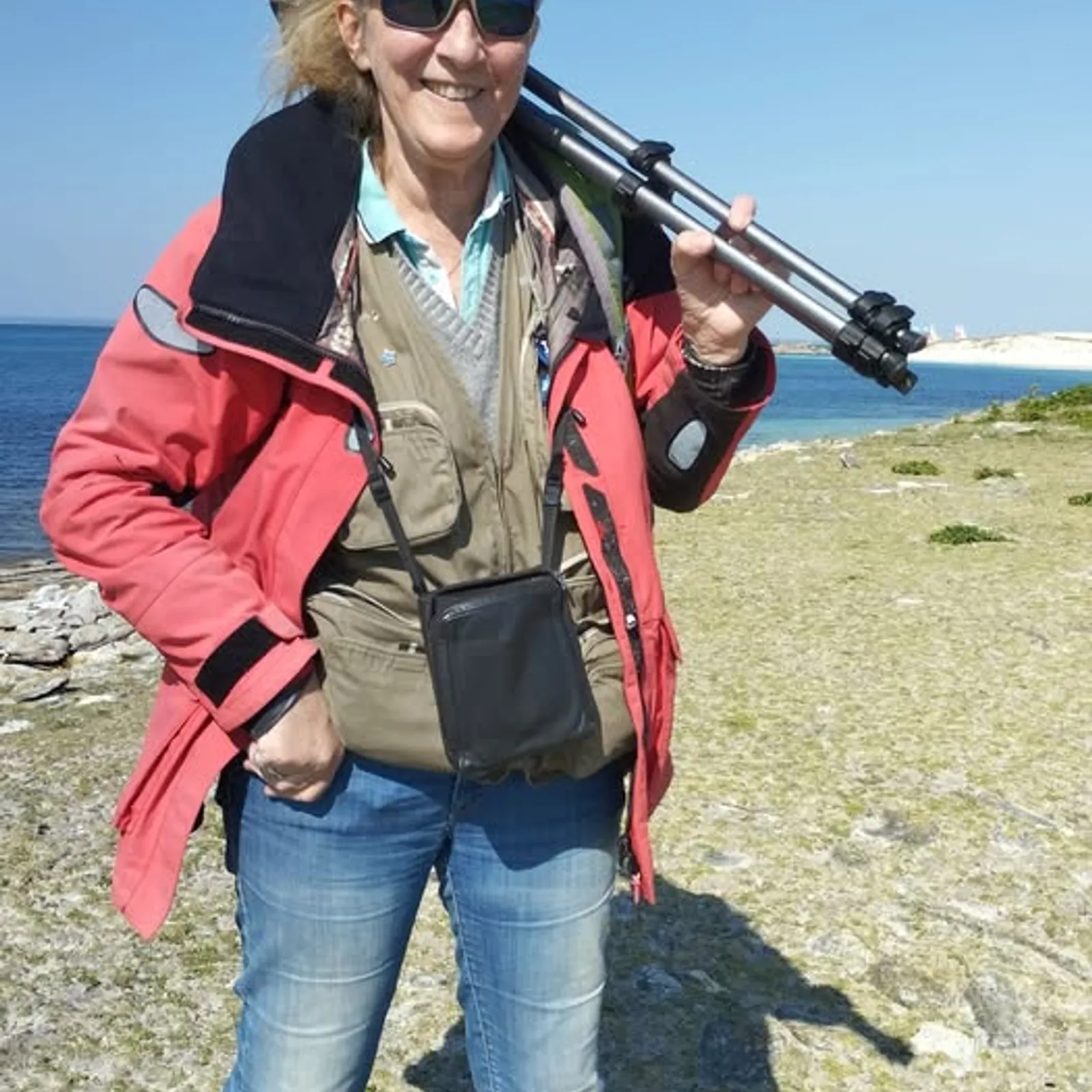 Les effets de la sécheresse sur la faune et la flore de Mousterlin