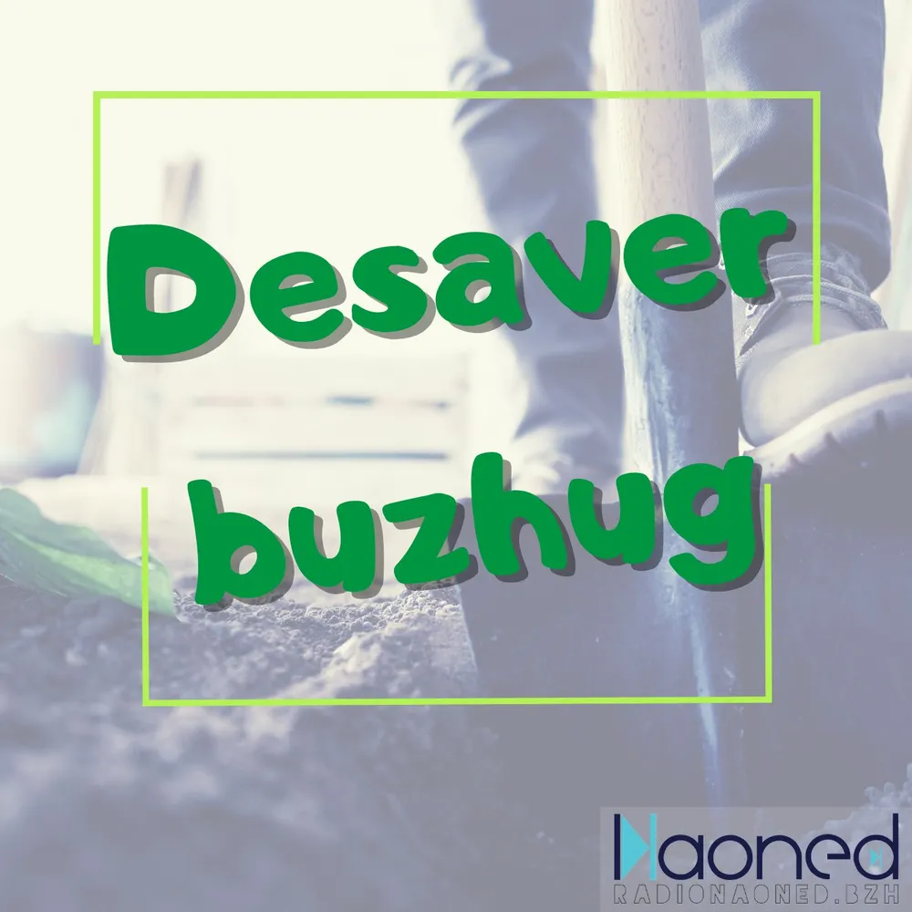 Desaver buzhug