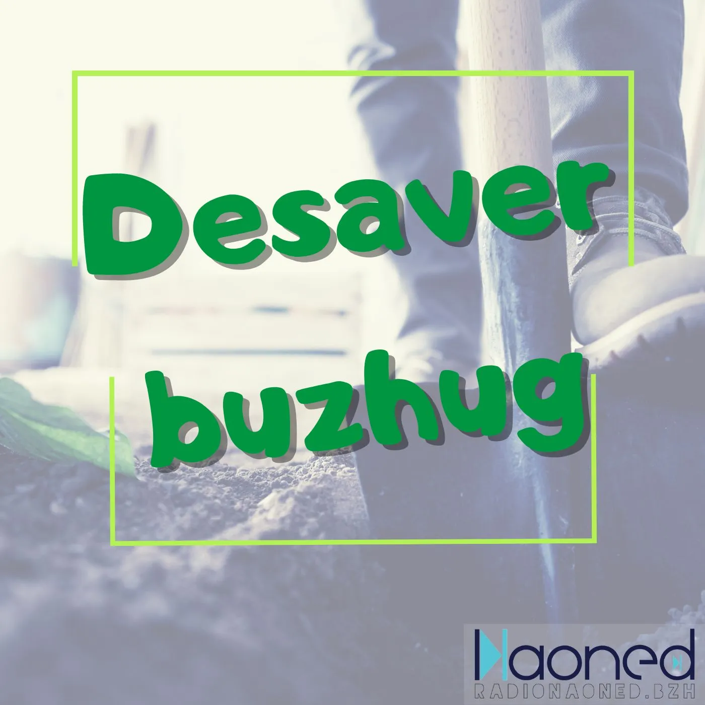 Desaver buzhug
