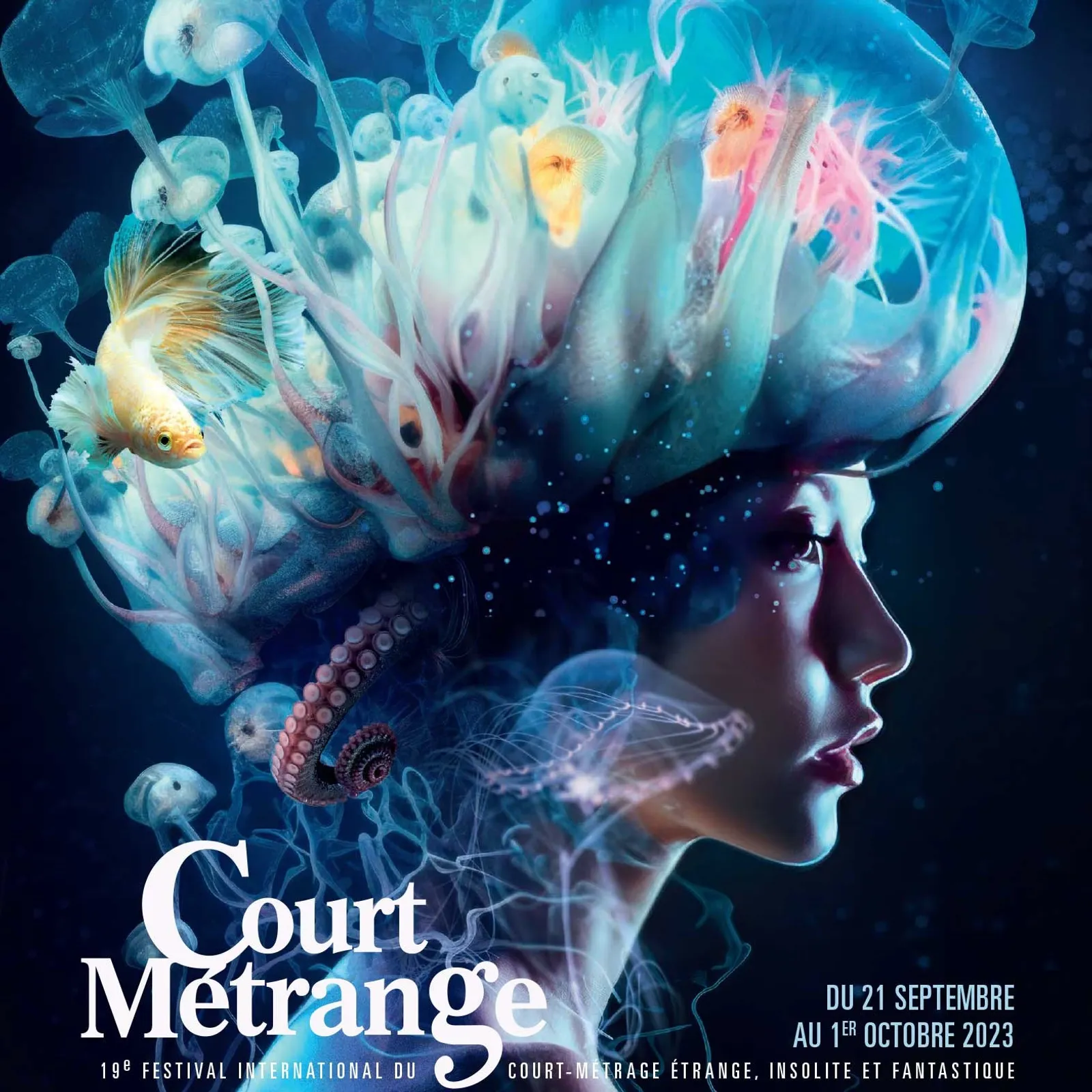 Tarzh an Noz du lundi 25 septembre 2023