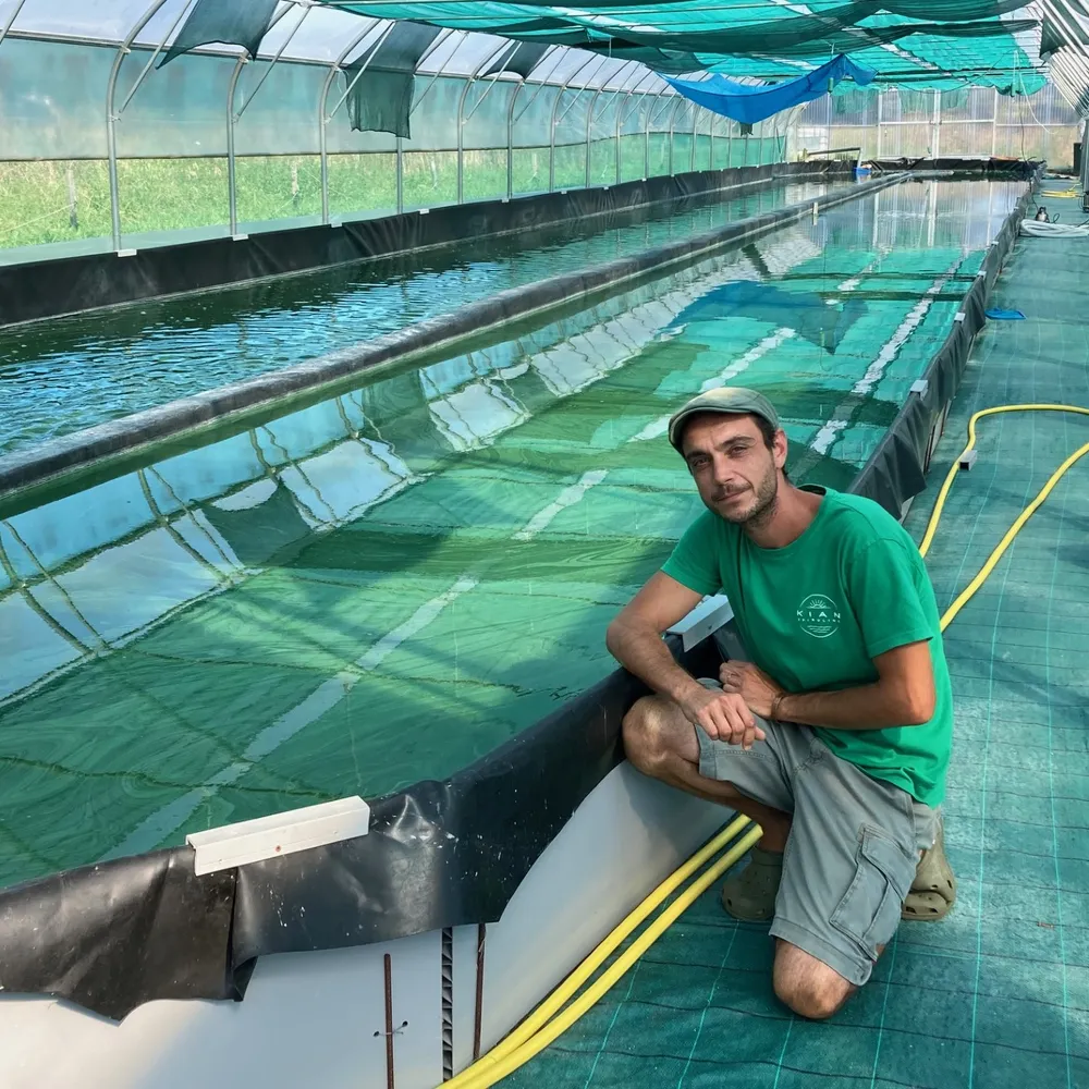 Une spiruline artisanale bretonne. Reportage à Kian spiruline, à Crac'h.