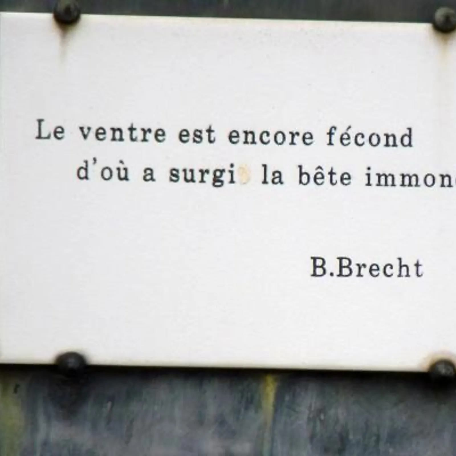 Le Chant de l'Alouette #62