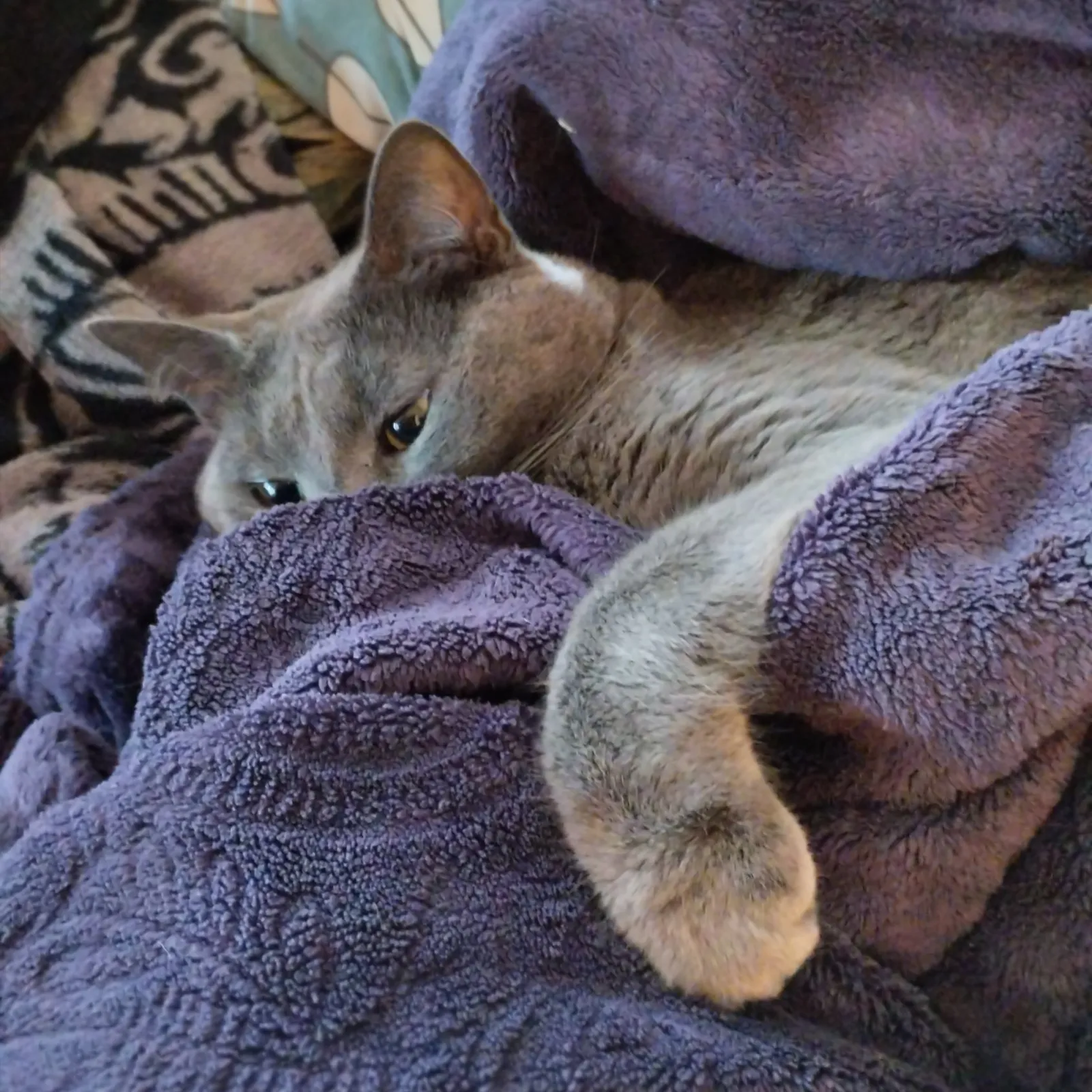 Bandes Organisées #76 : Playlist du Chill