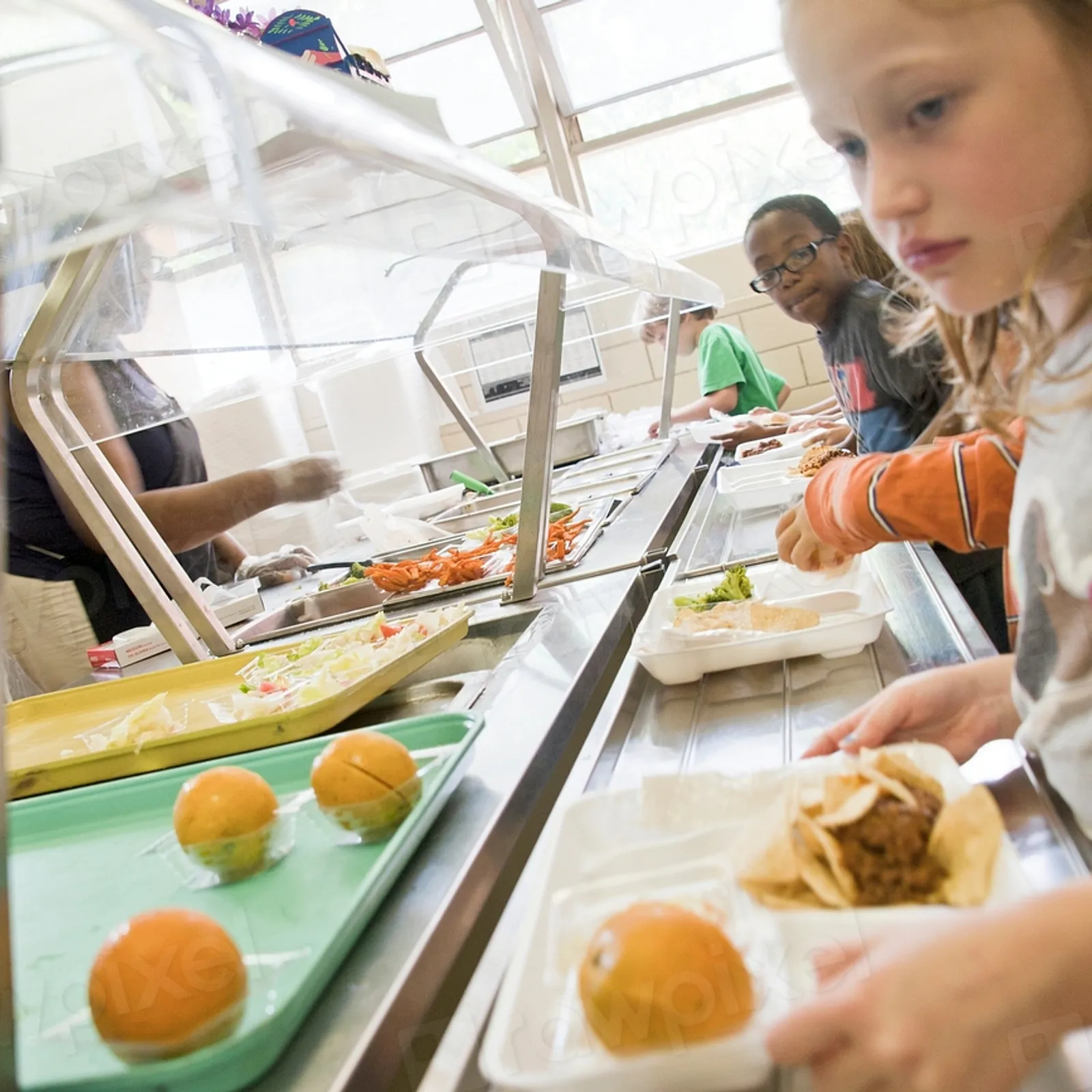 Le bio dans les cantines