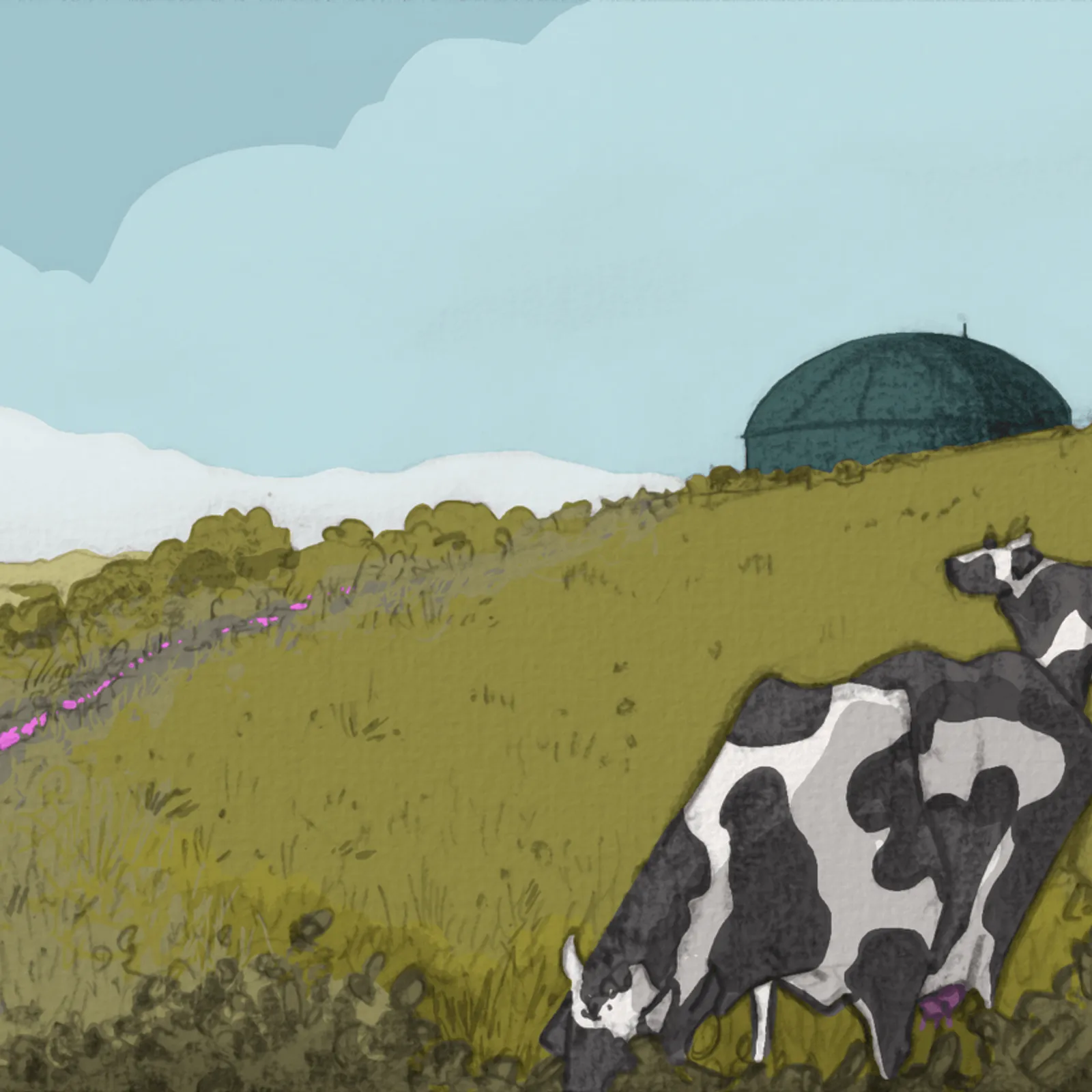 Splann : "En Bretagne, la méthanisation sous pression"