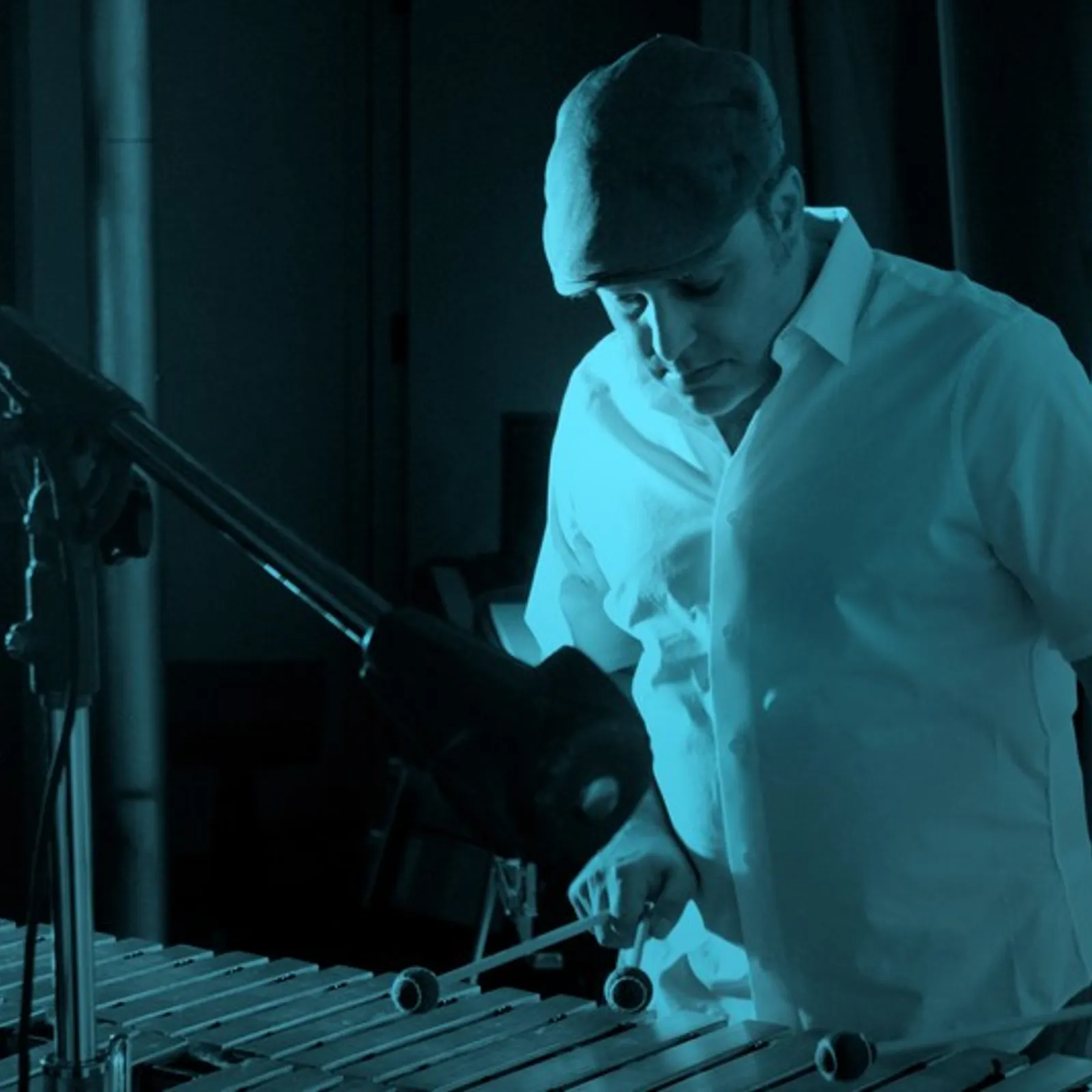 Trans Vinyl Express #116