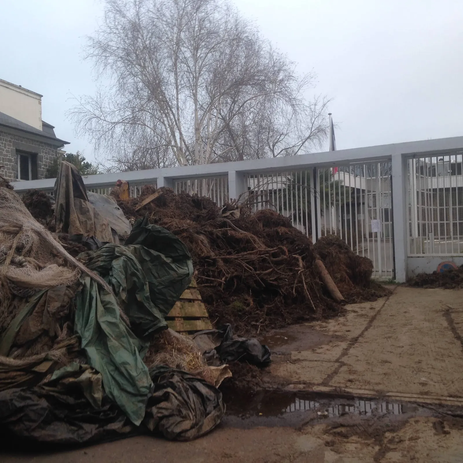 Ar Frañs o vont war gil evit pezh a sell louzaouiñ nebeutoc'h