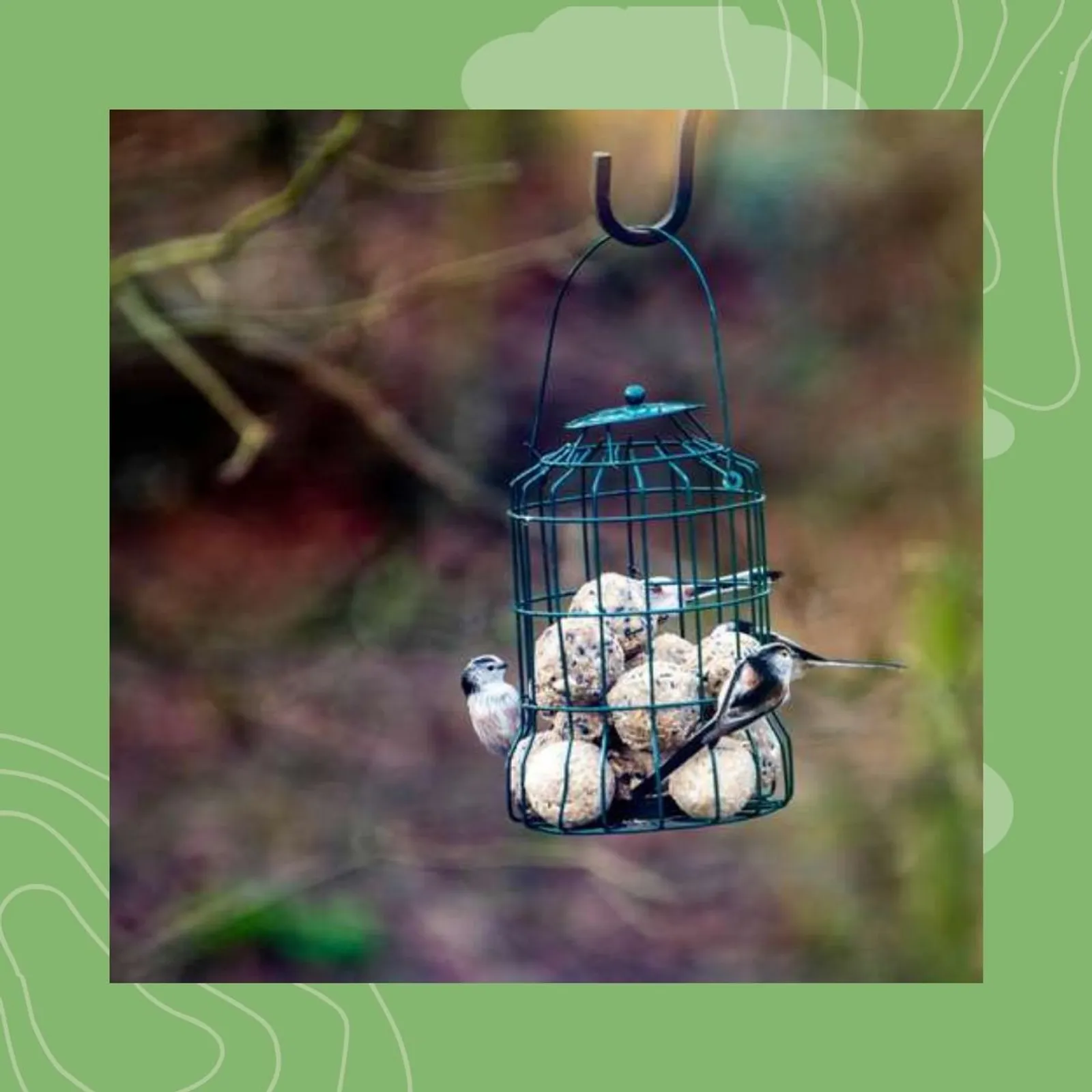 2- Laboused 2-3 : ar boueta