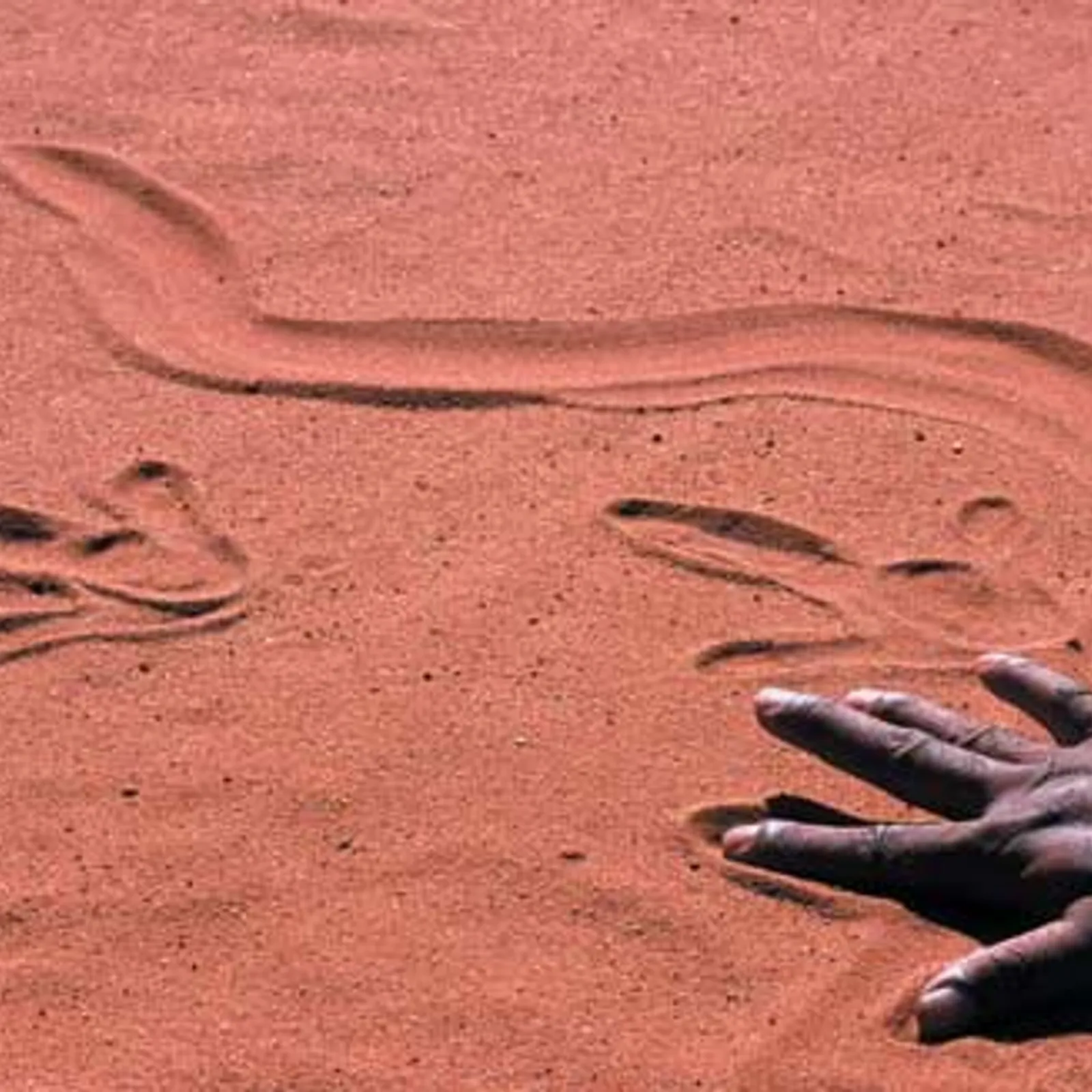 Une voix pour les Aborigènes