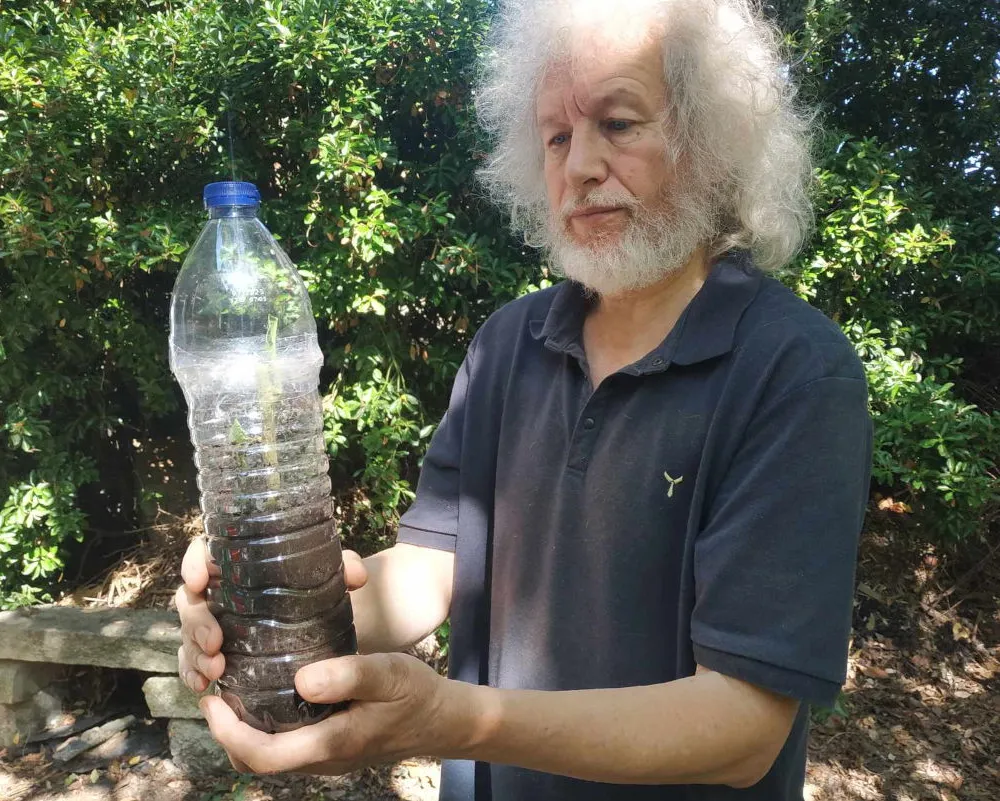 Ar bougainvilliers gant Loig