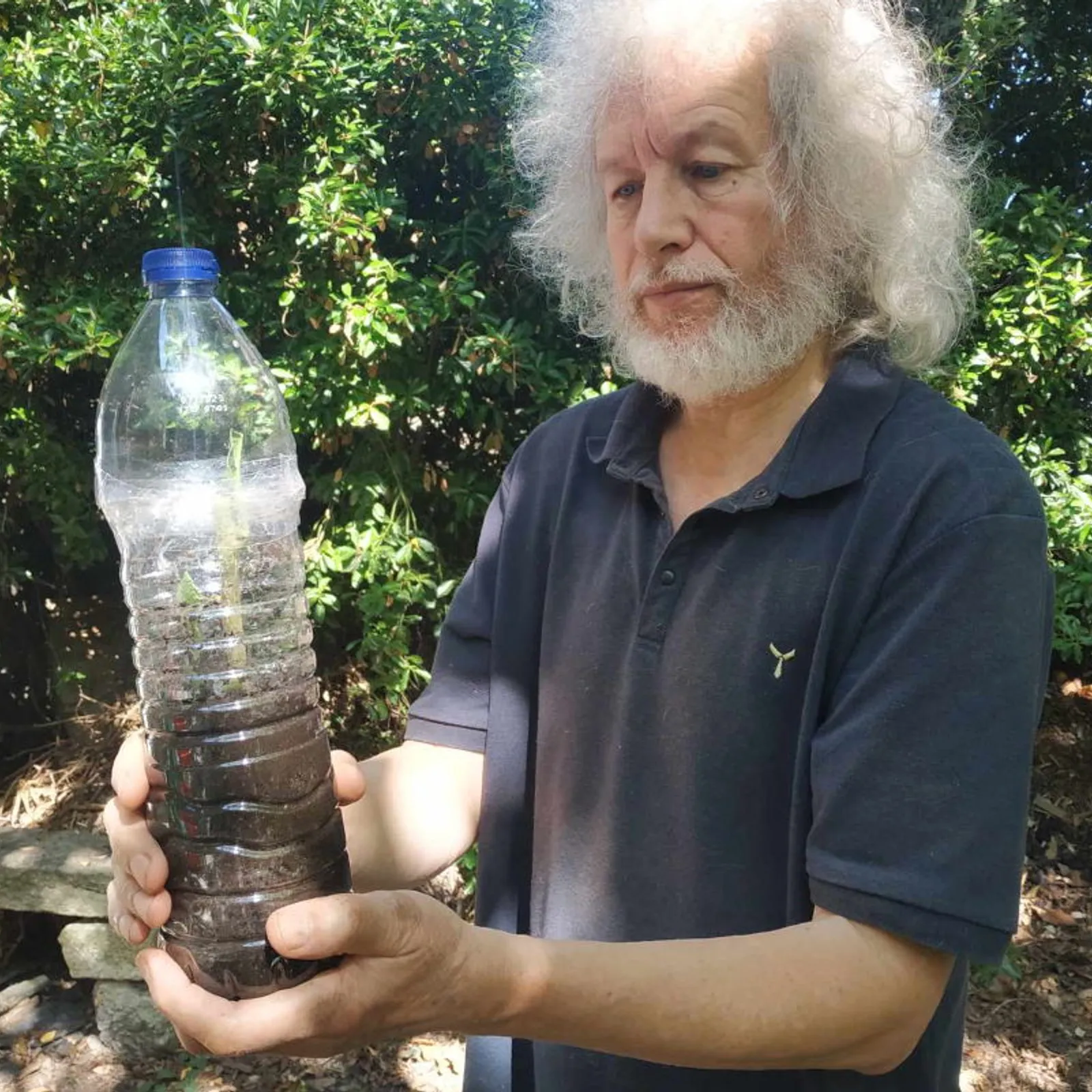 Ar bougainvilliers gant Loig