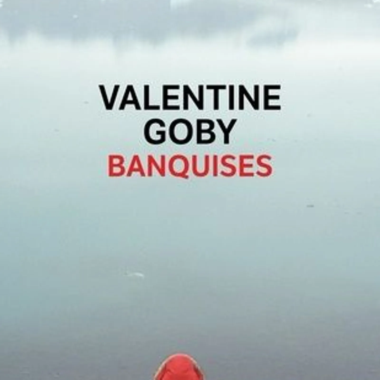 Banquises - Valentine Goby